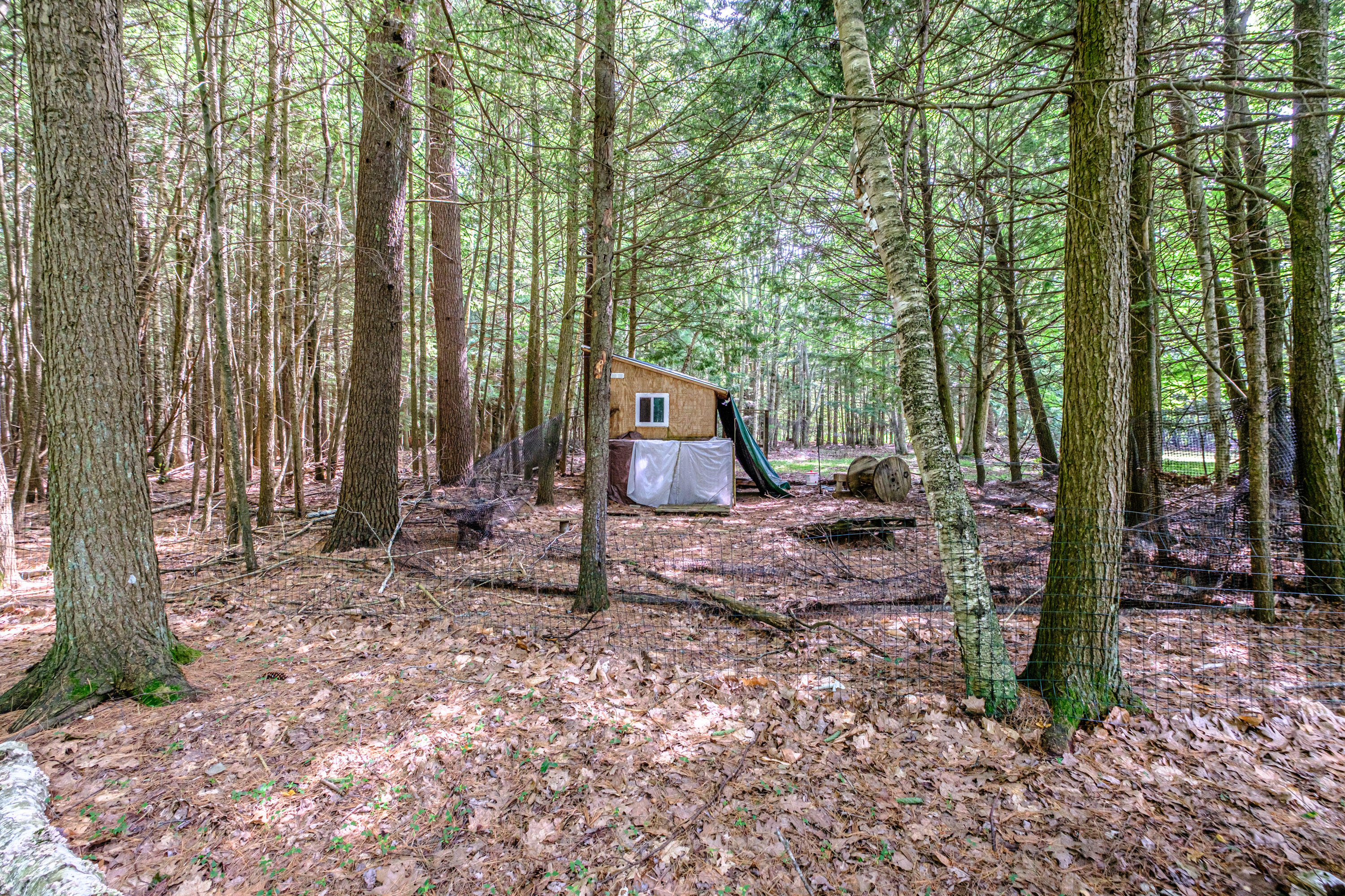 262 Holmes Road Property Photo 50