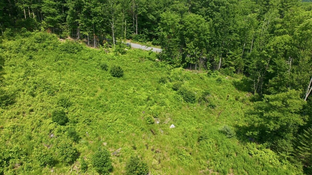 273 Wiley Road Property Photo 7