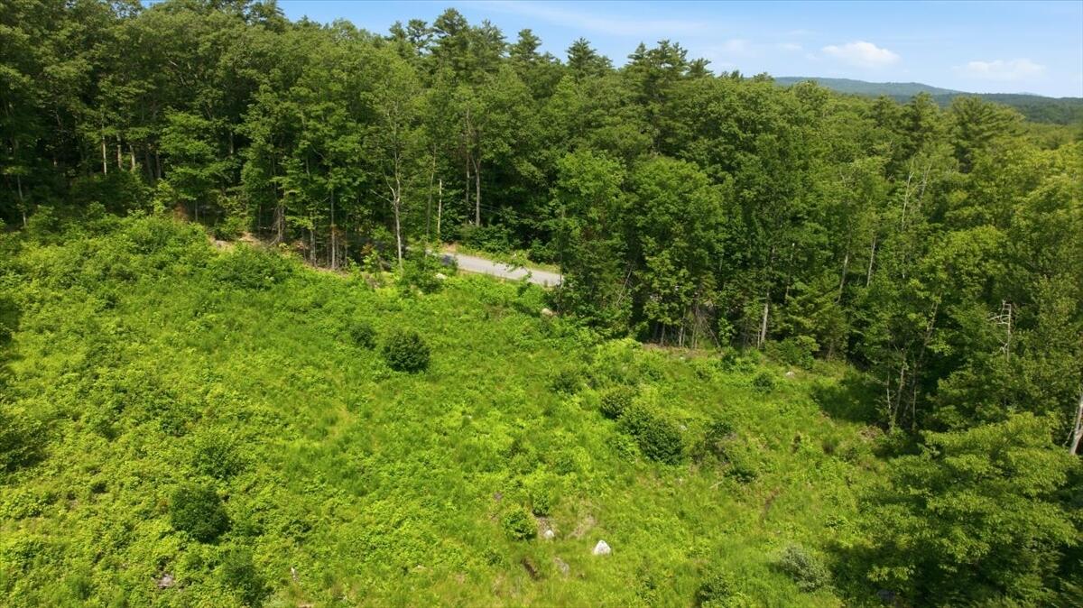 273 Wiley Road Property Photo 8