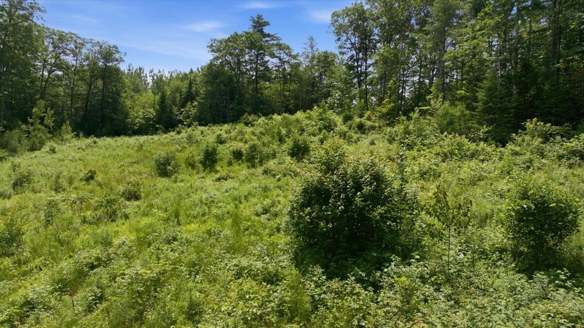 273 Wiley Road Property Photo 9