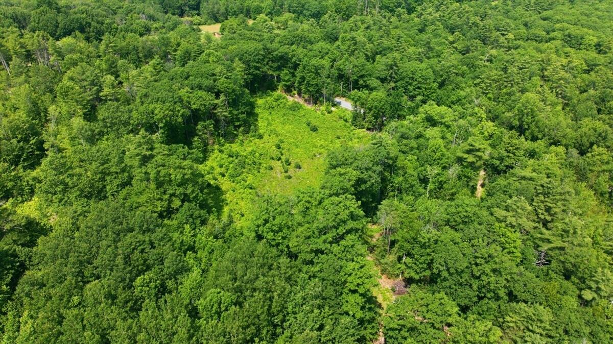 273 Wiley Road Property Photo 11