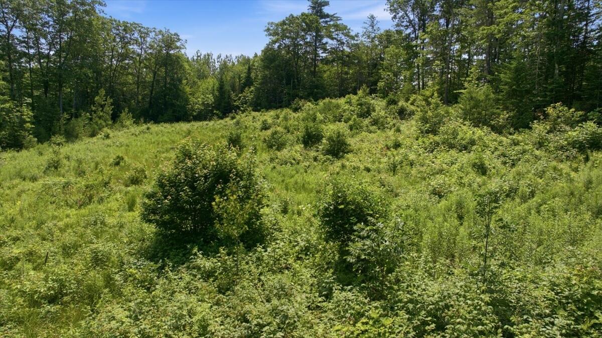 273 Wiley Road Property Photo 14