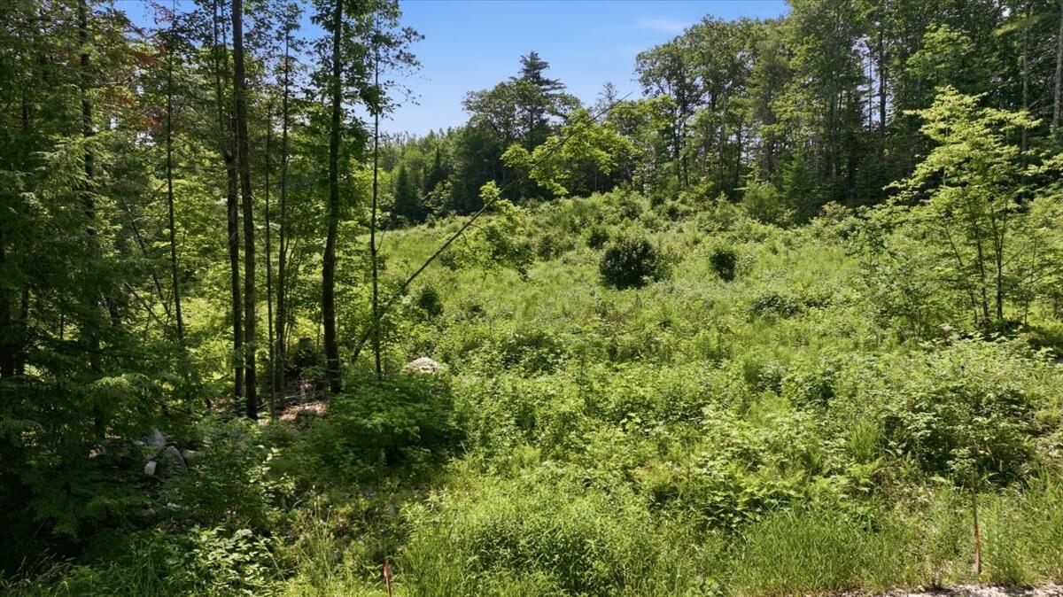 273 Wiley Road Property Photo 15