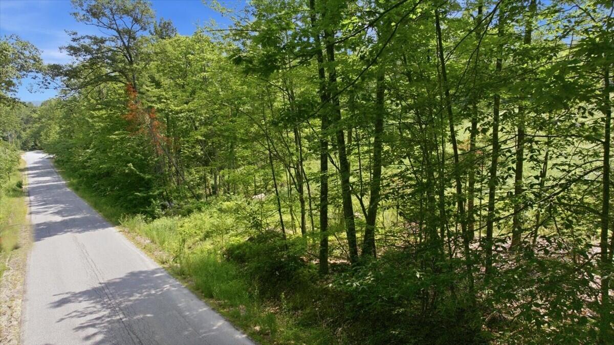 273 Wiley Road Property Photo 18