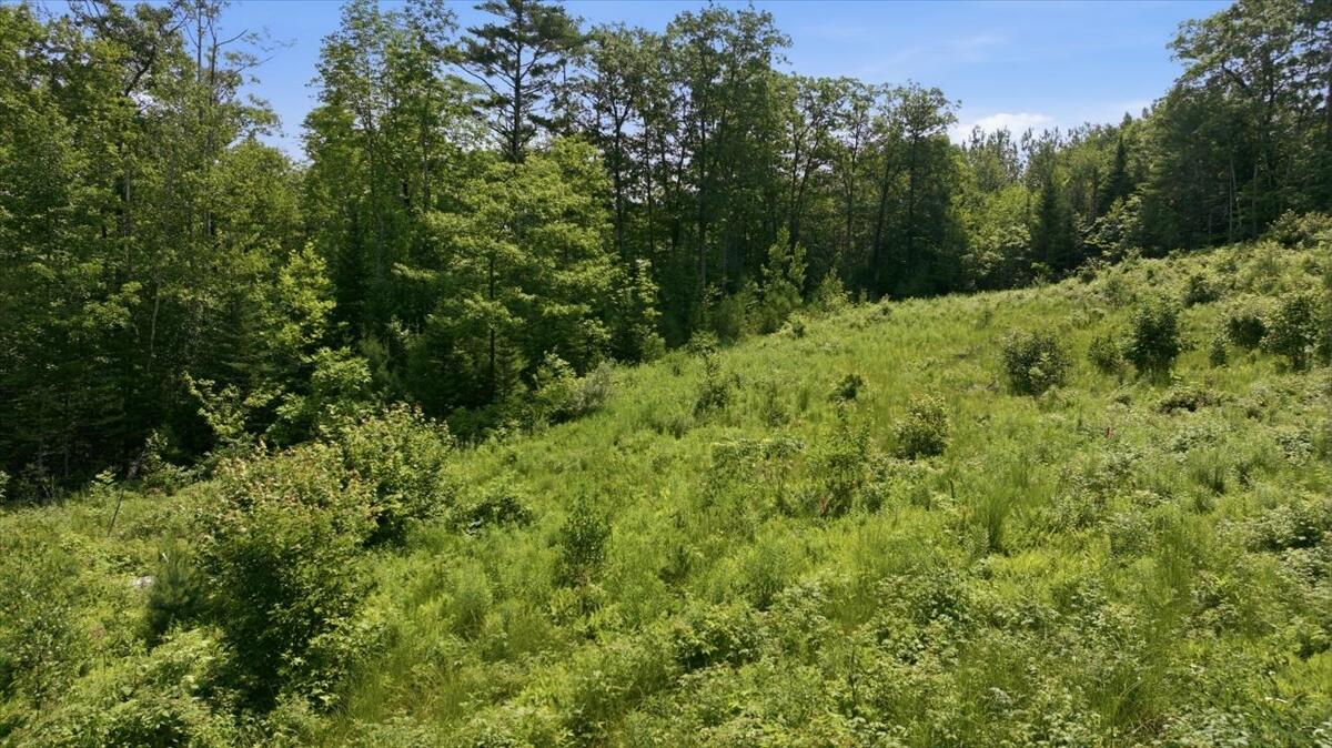 273 Wiley Road Property Photo 20