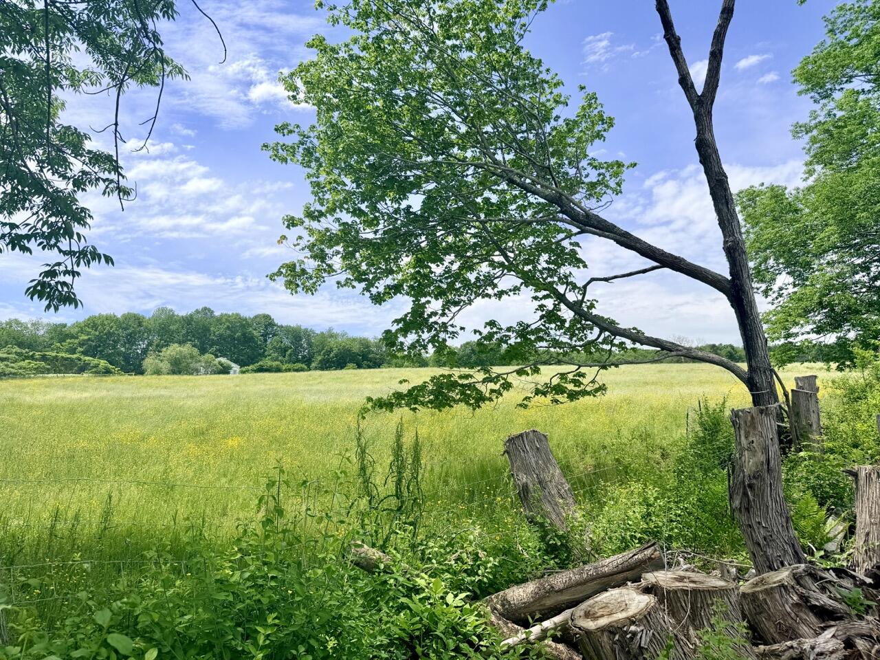 Lot # 96-2 Monroe Road Property Photo 4