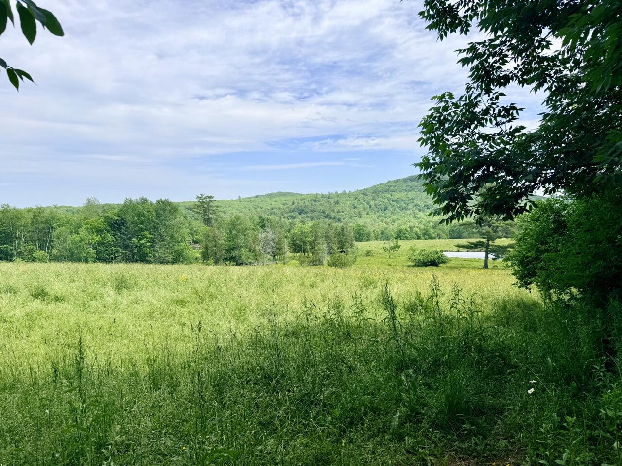 Lot # 96-2 Monroe Road Property Photo 6