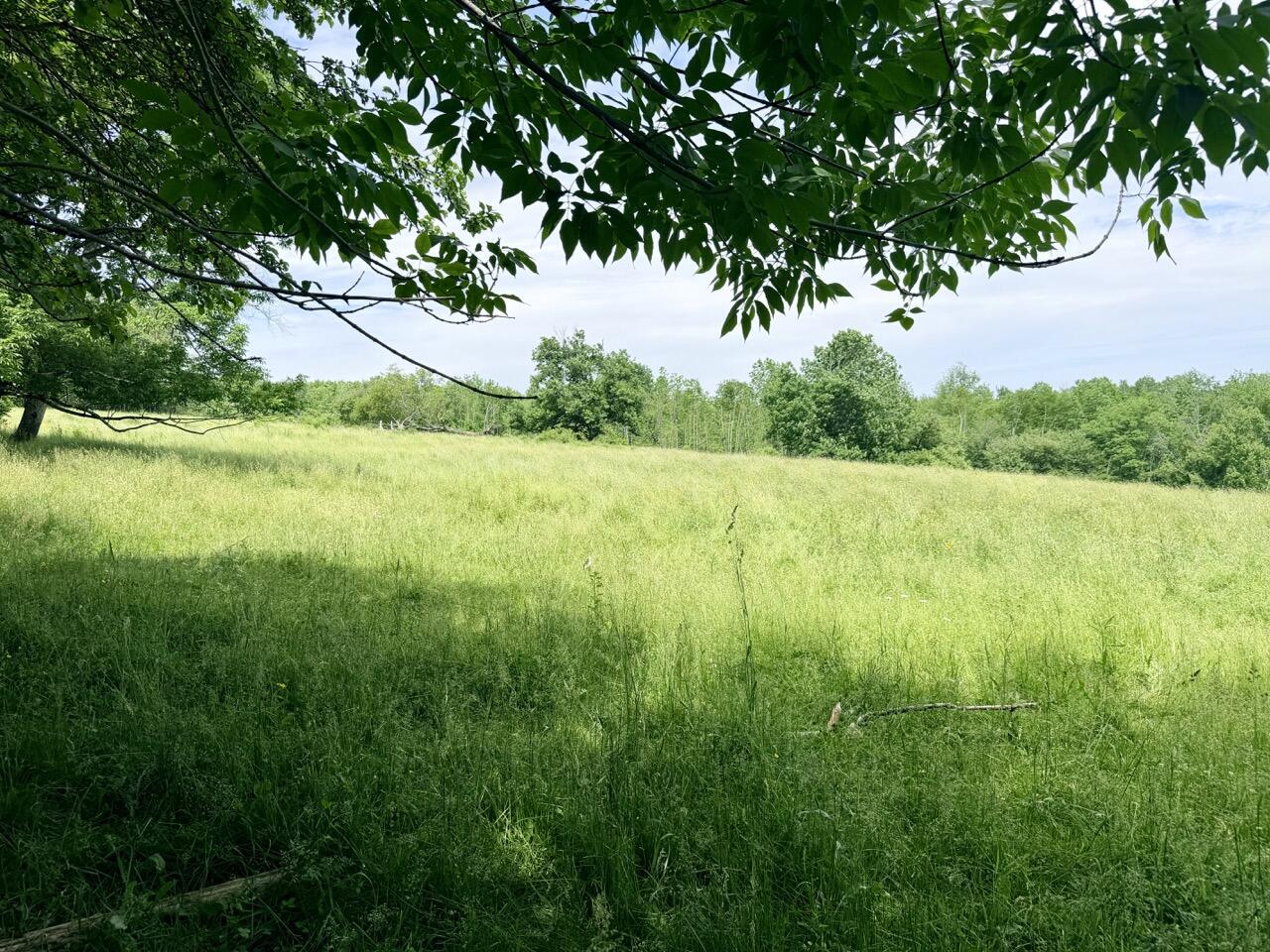 Lot # 96-2 Monroe Road Property Photo 7