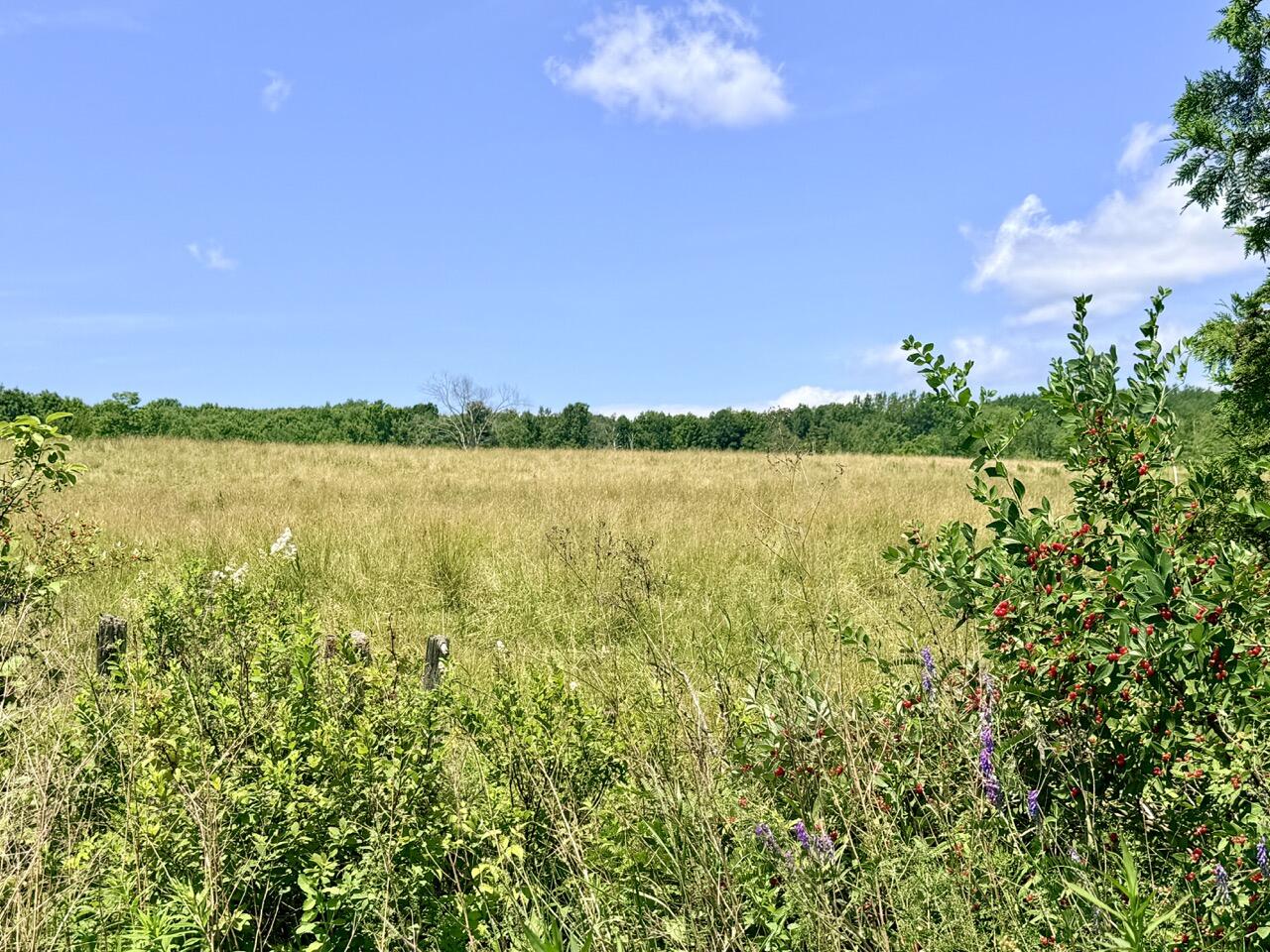 Lot # 96-2 Monroe Road Property Photo 8
