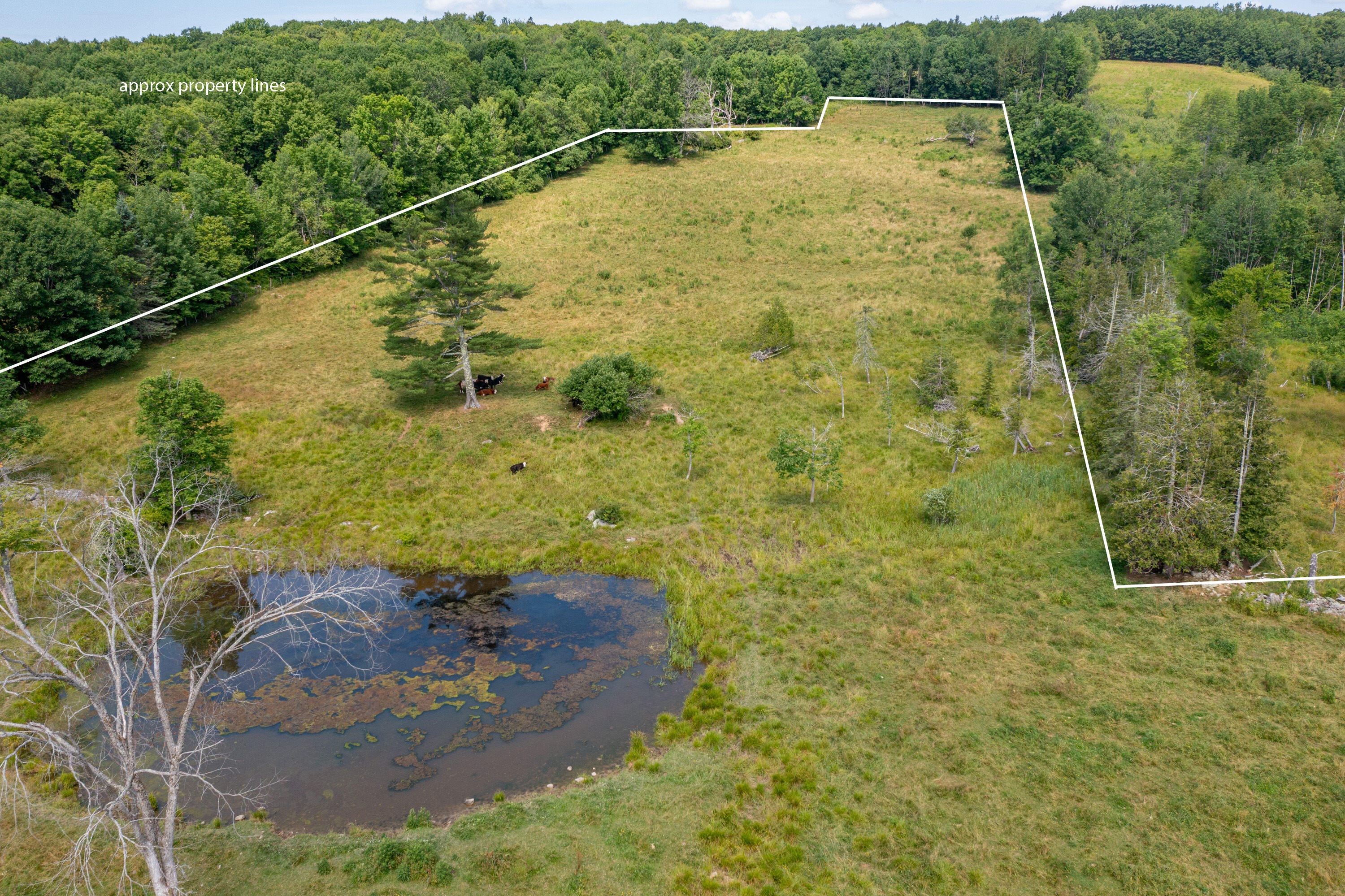 Lot # 96-2 Monroe Road Property Photo 17