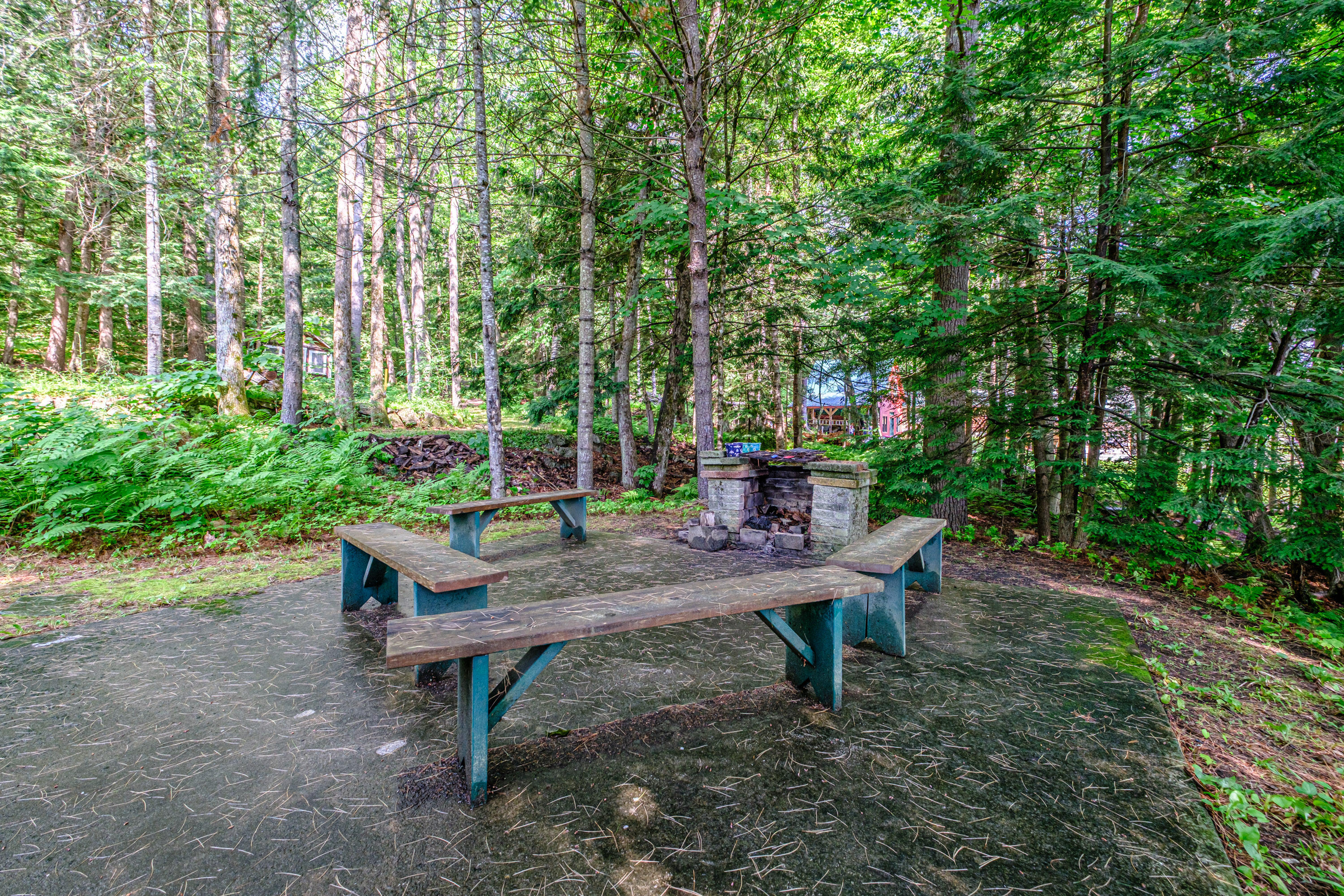 28 Pine Tree Road Property Photo 6