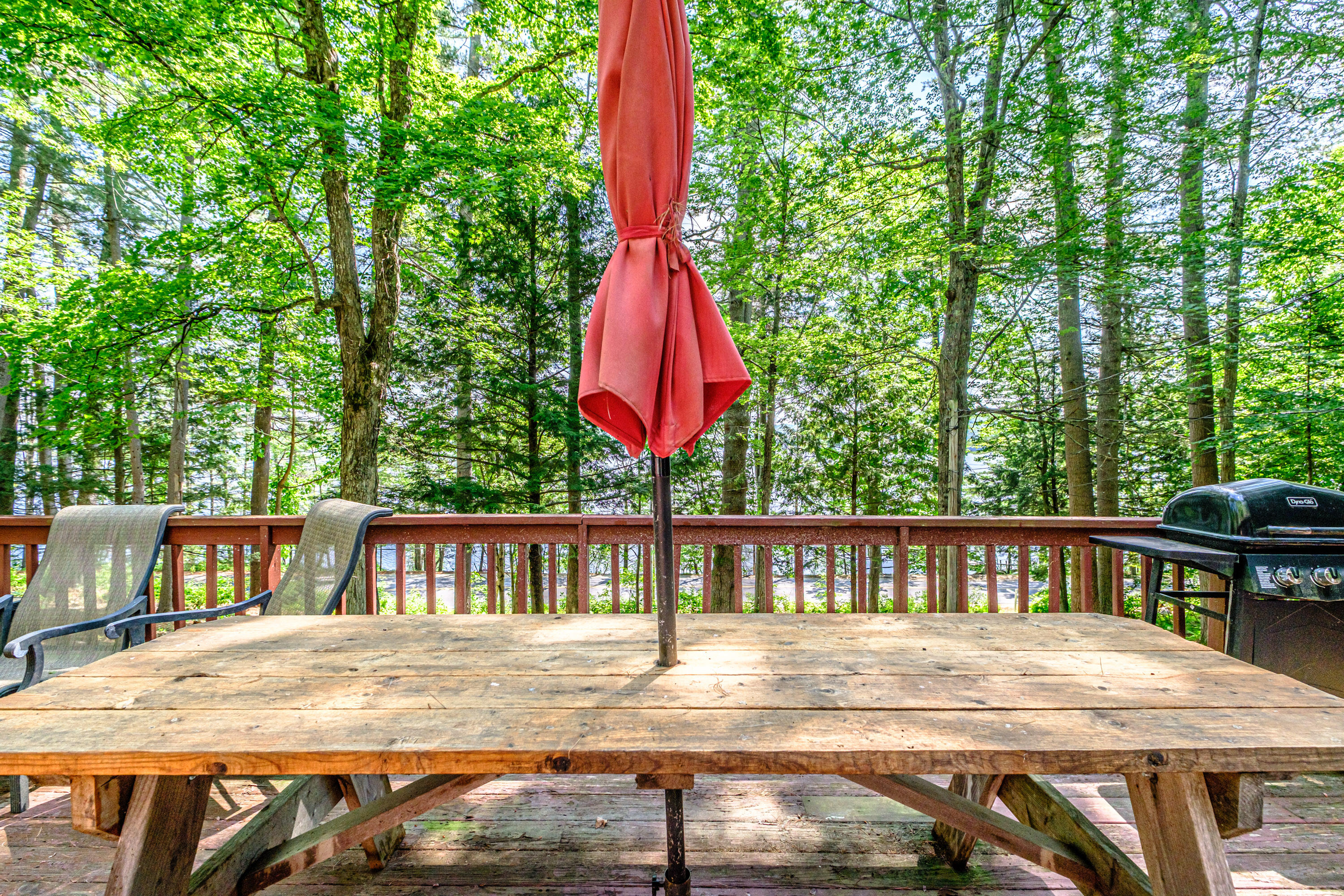 28 Pine Tree Road Property Photo 35
