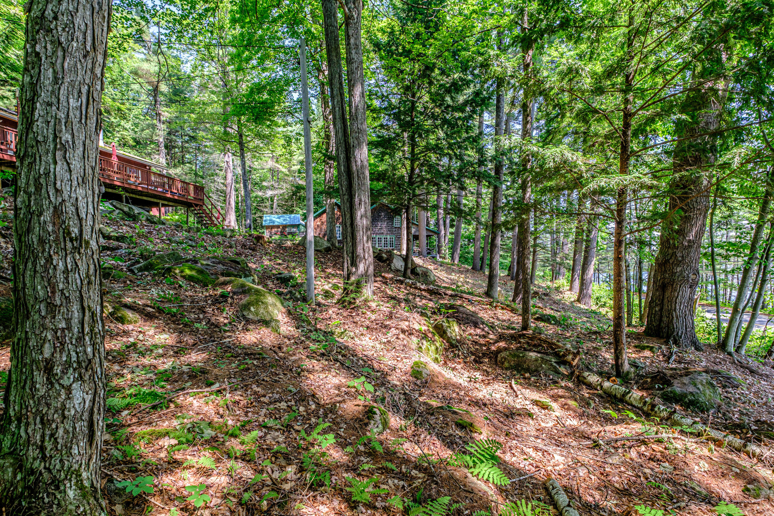 28 Pine Tree Road Property Photo 47