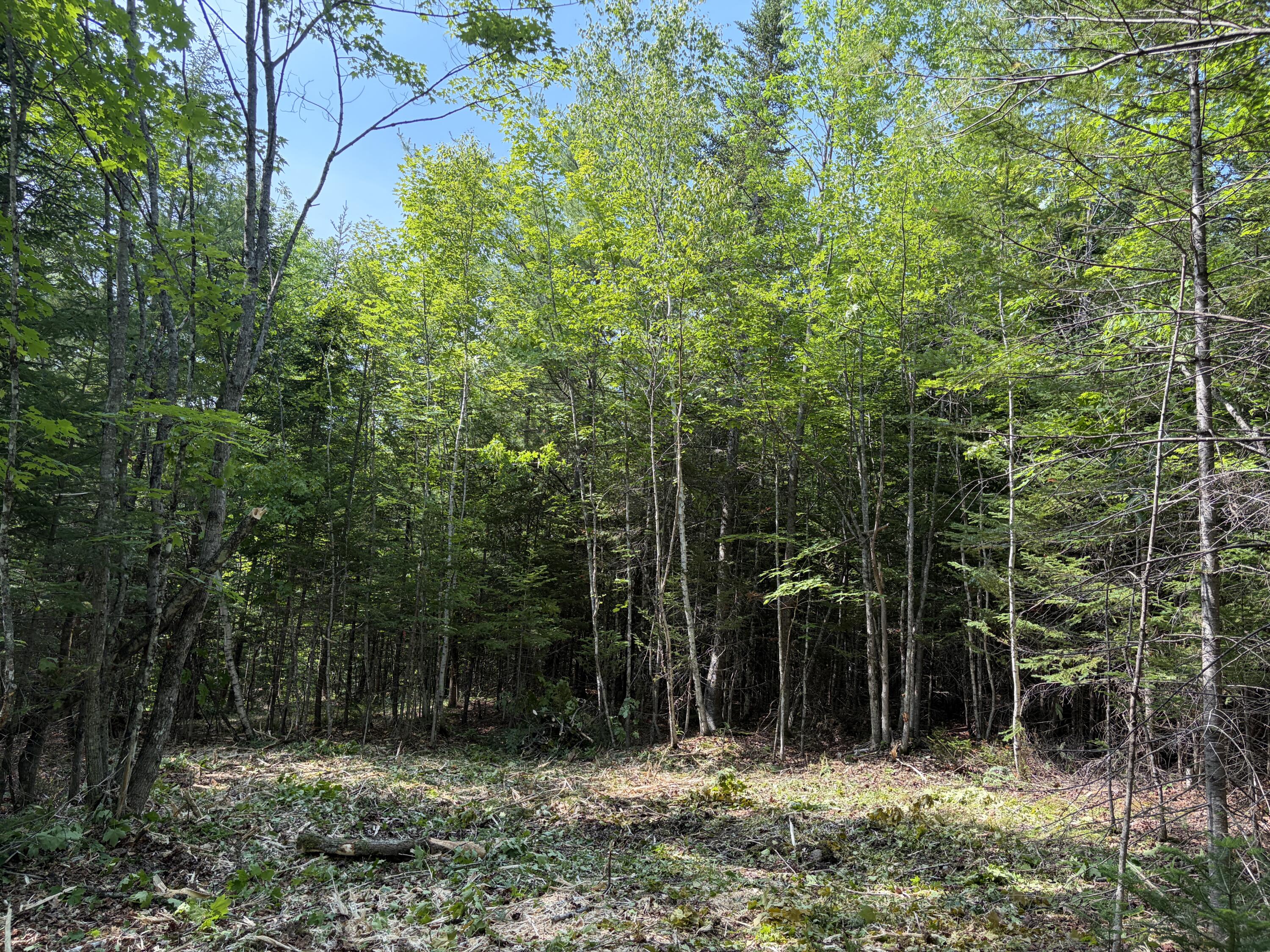 Lot 5 Holley Road Property Photo 1