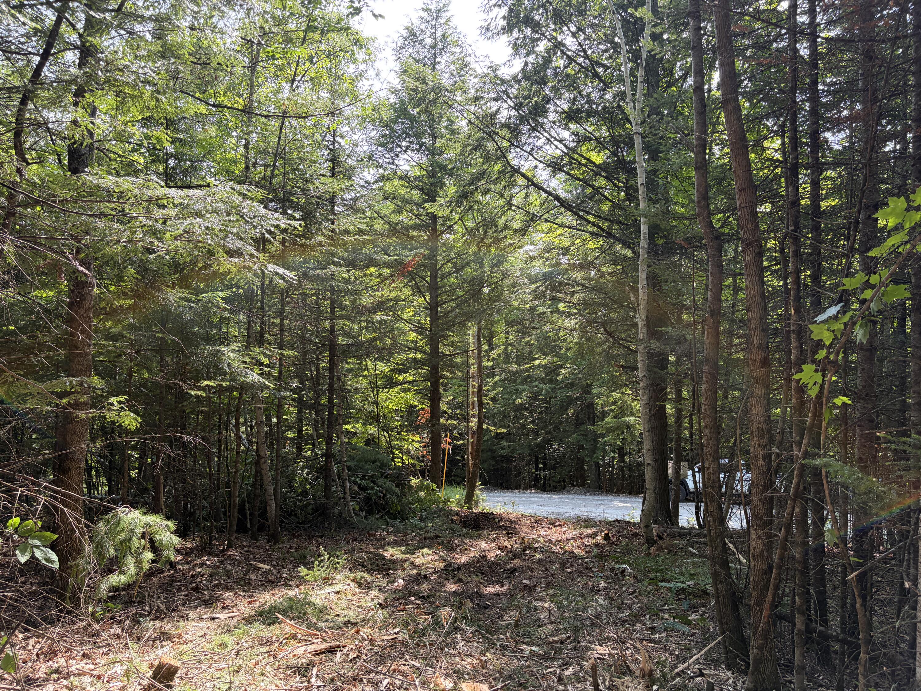 Lot 5 Holley Road Property Photo 2