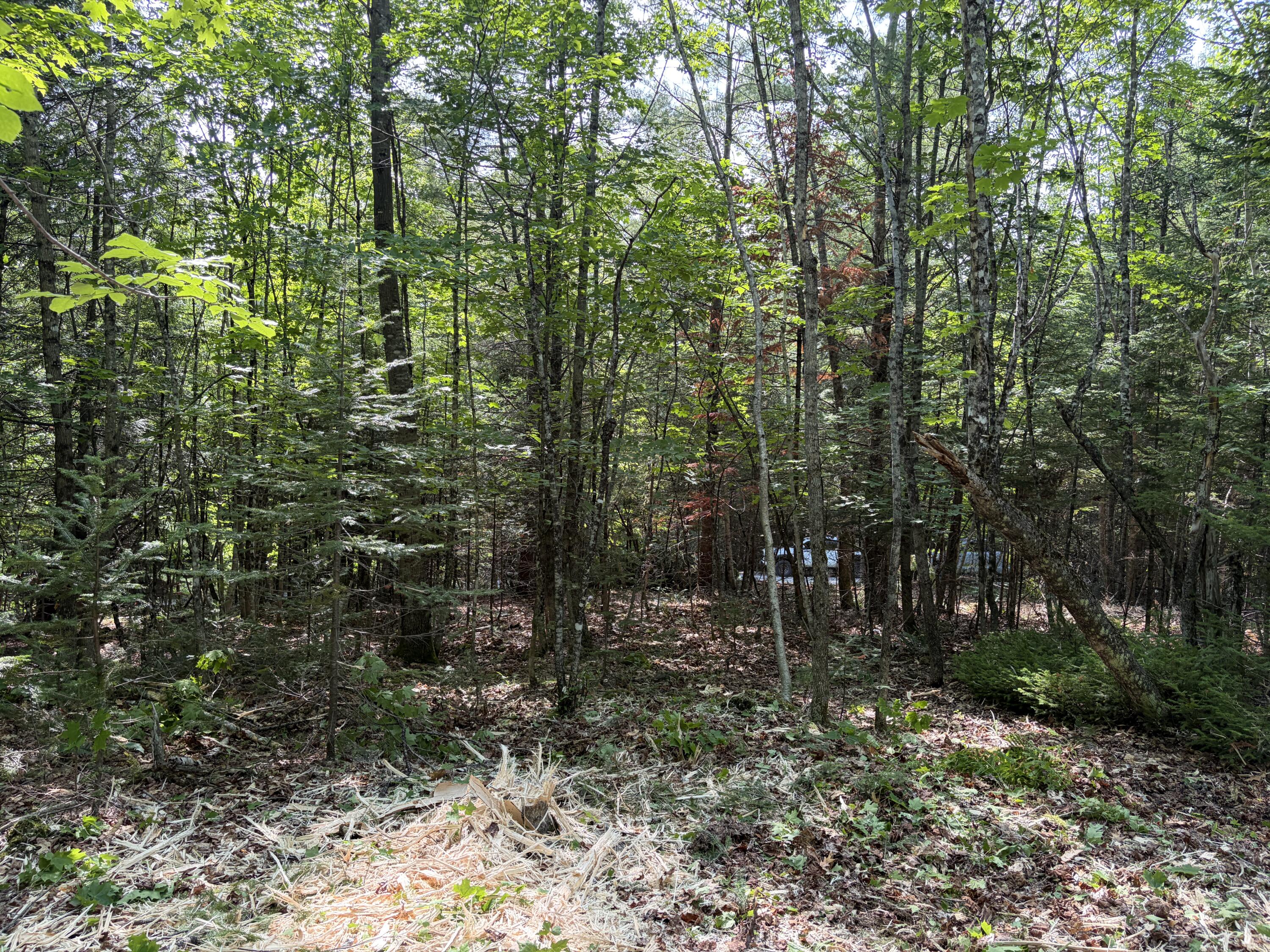 Lot 5 Holley Road Property Photo 5