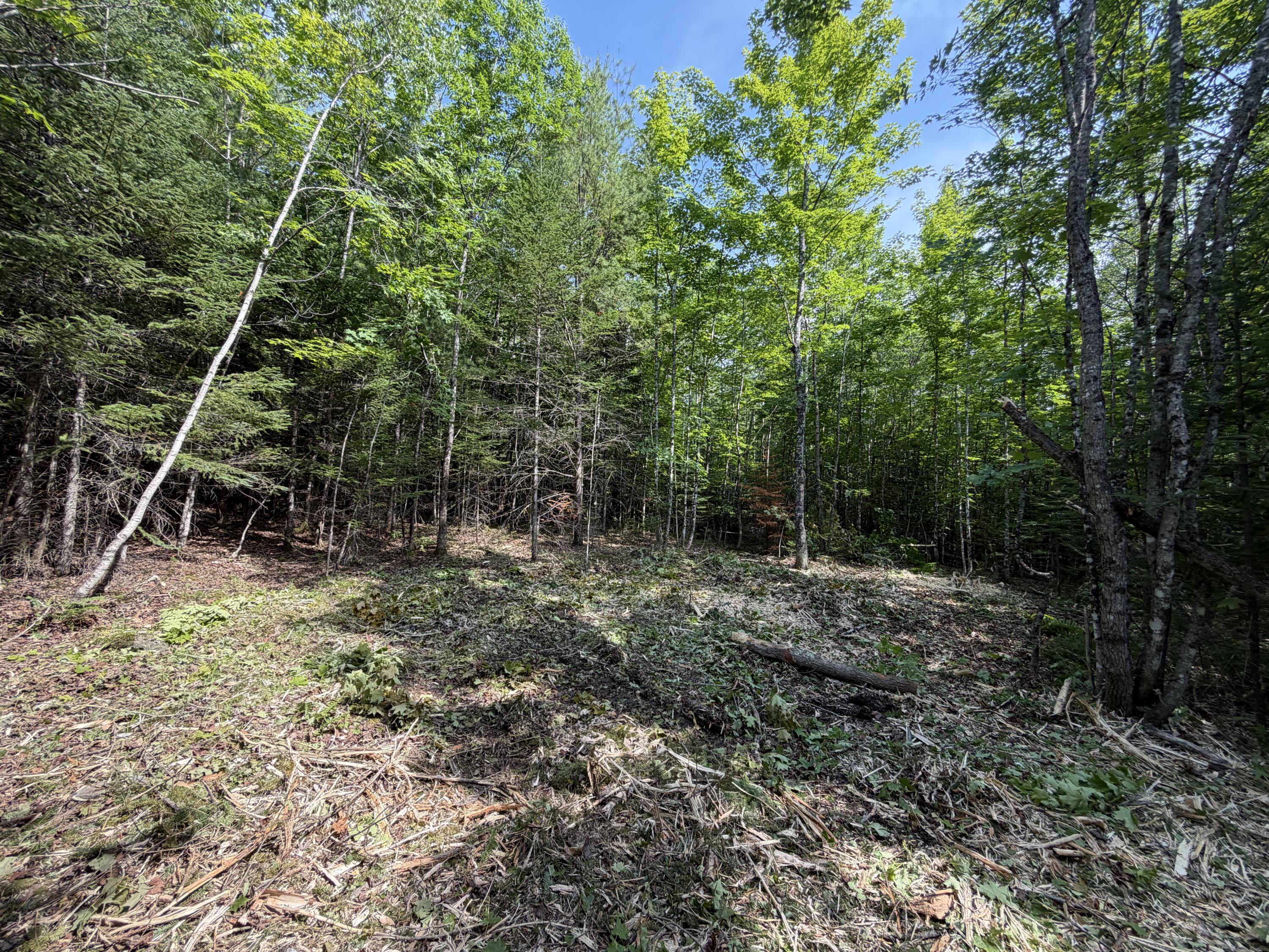 Lot 5 Holley Road Property Photo 6