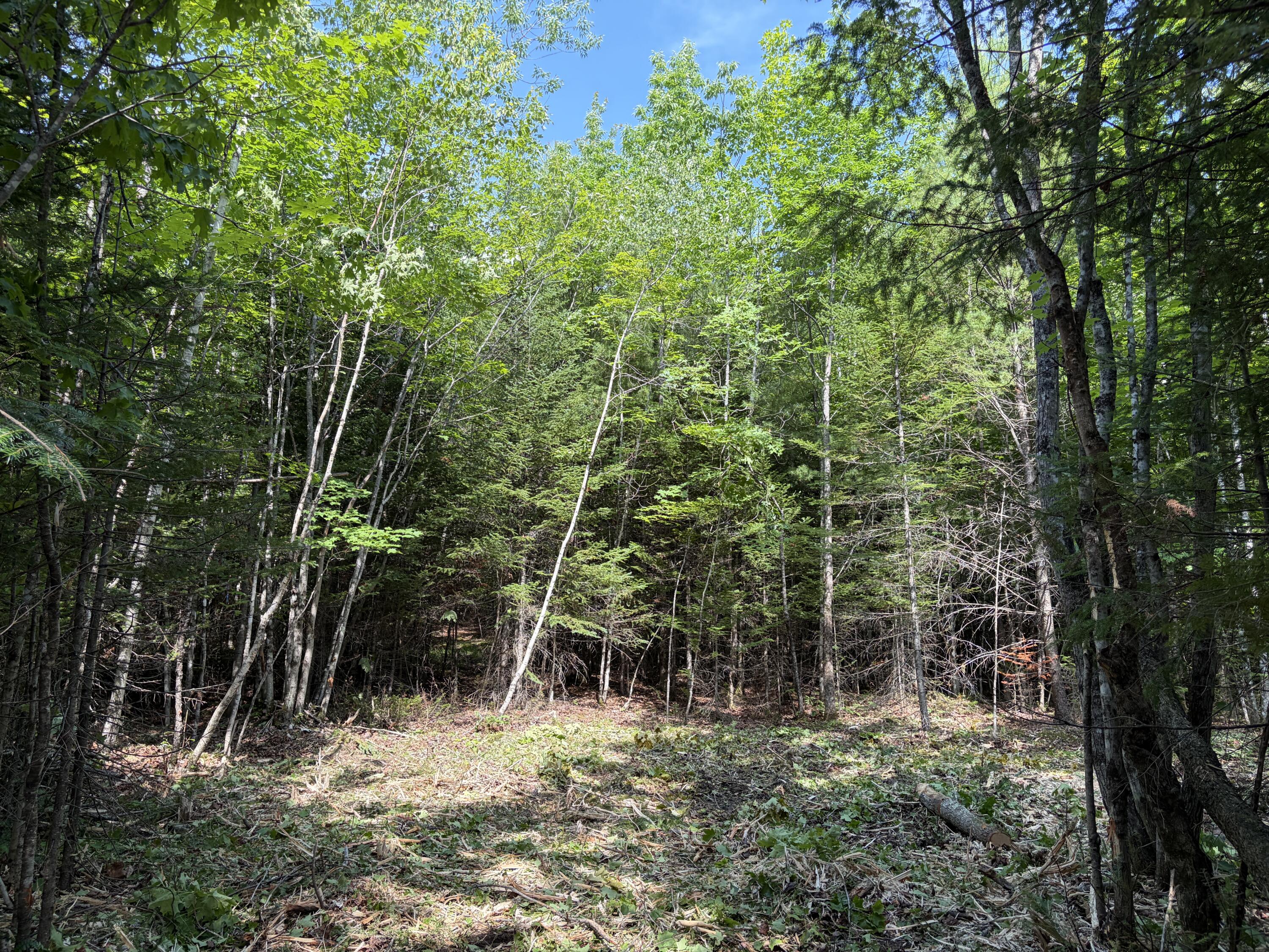 Lot 5 Holley Road Property Photo 7