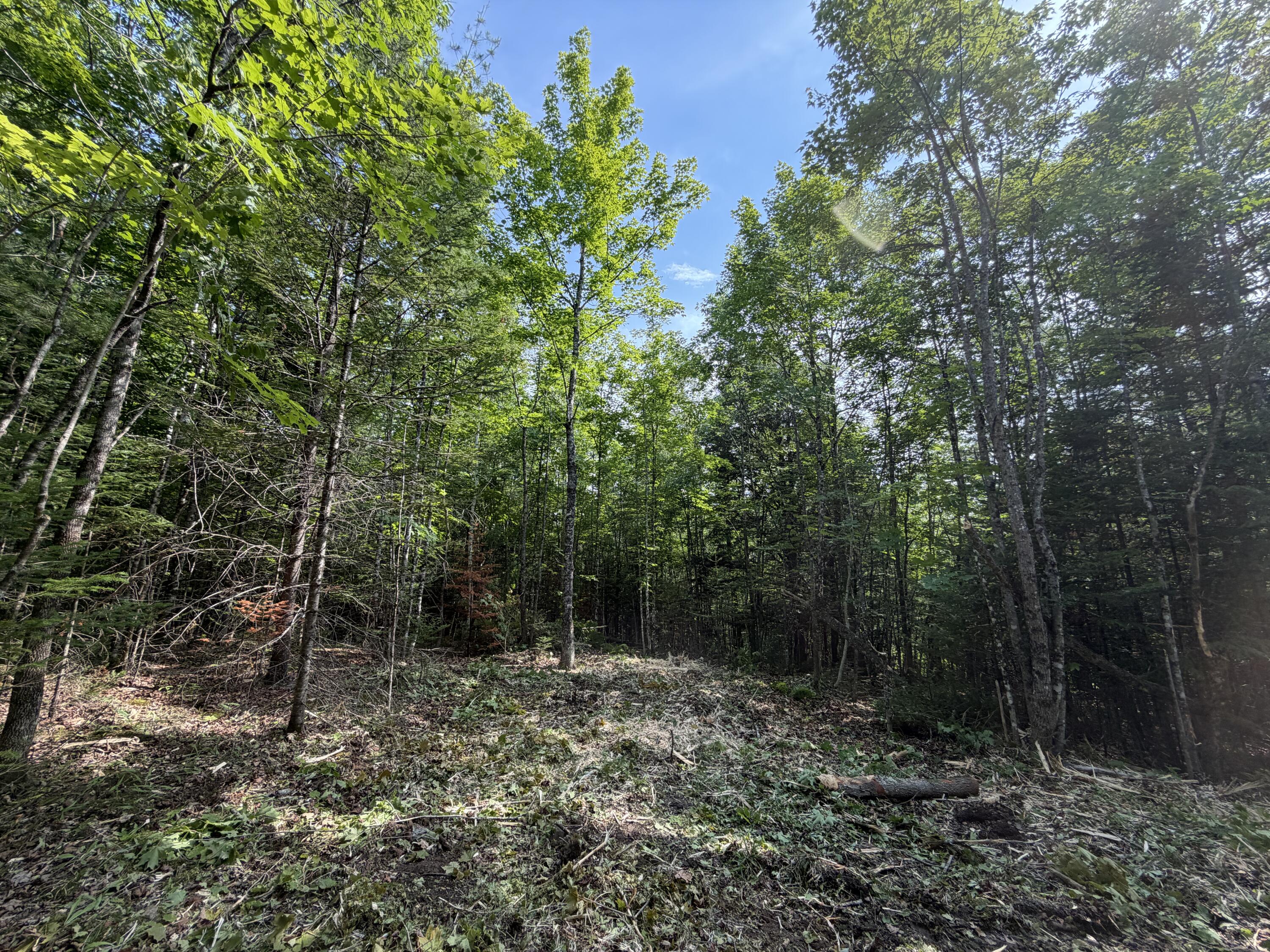 Lot 5 Holley Road Property Photo 8