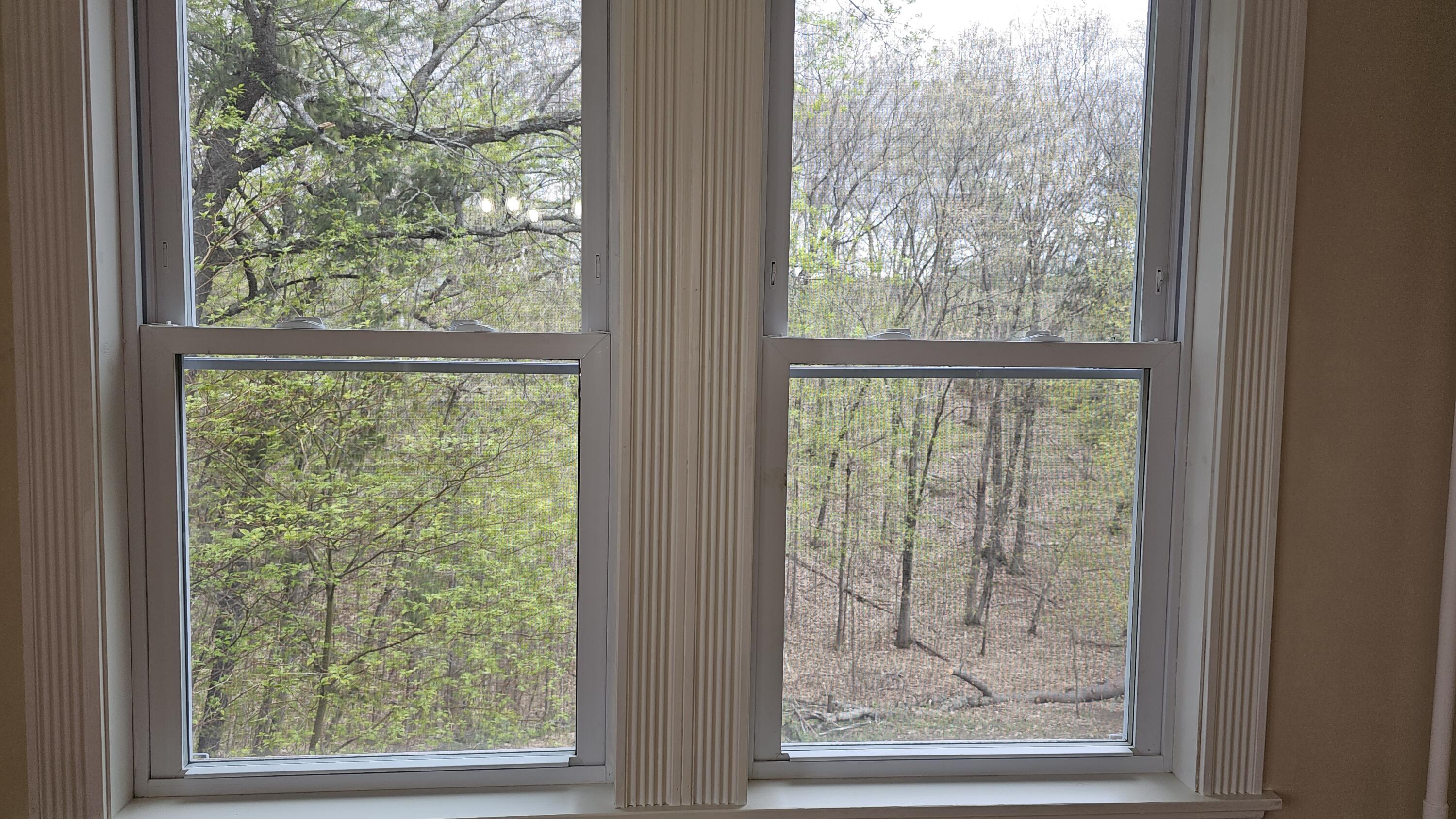48 Pine Street Property Photo 19