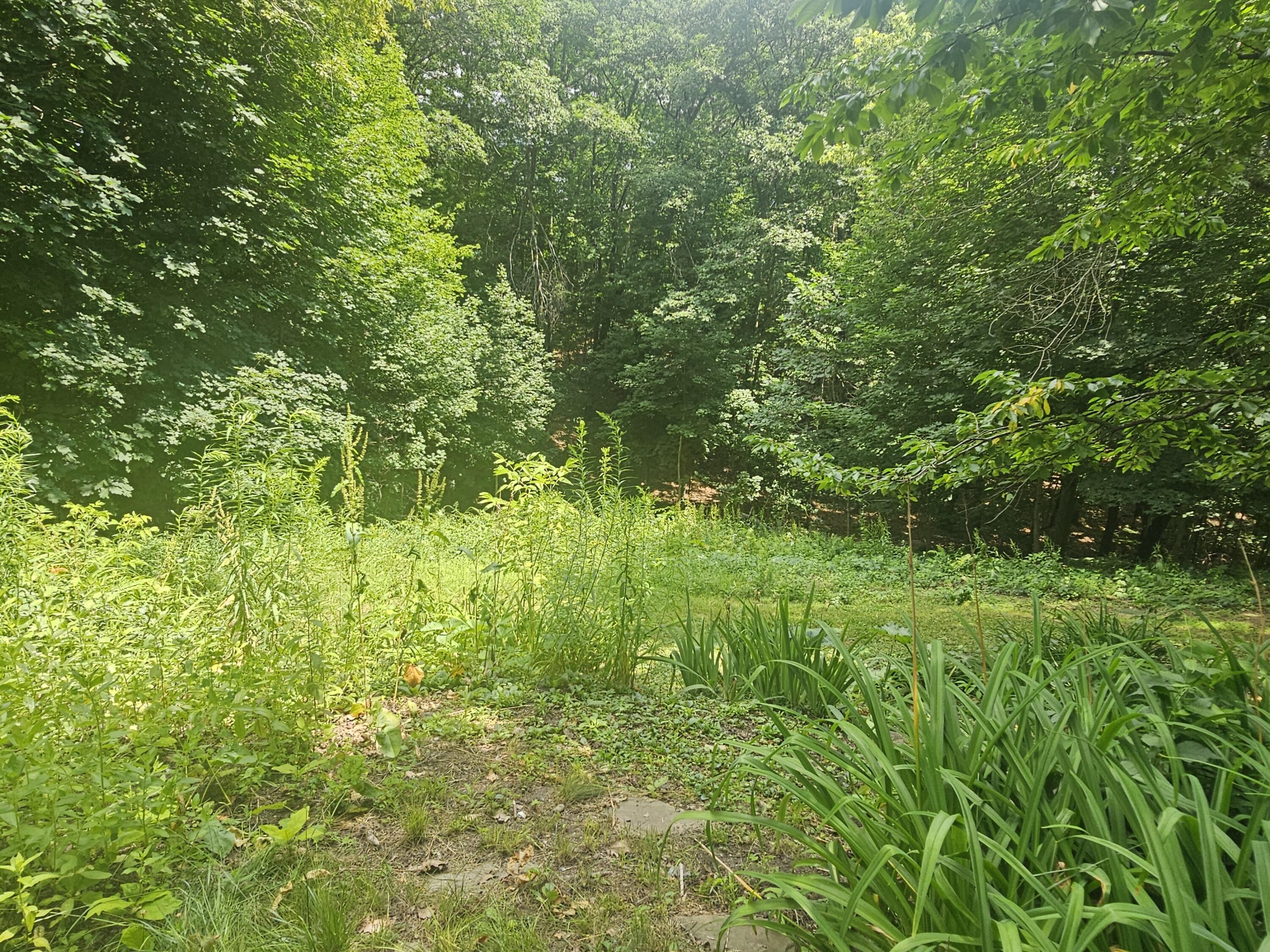 48 Pine Street Property Photo 42
