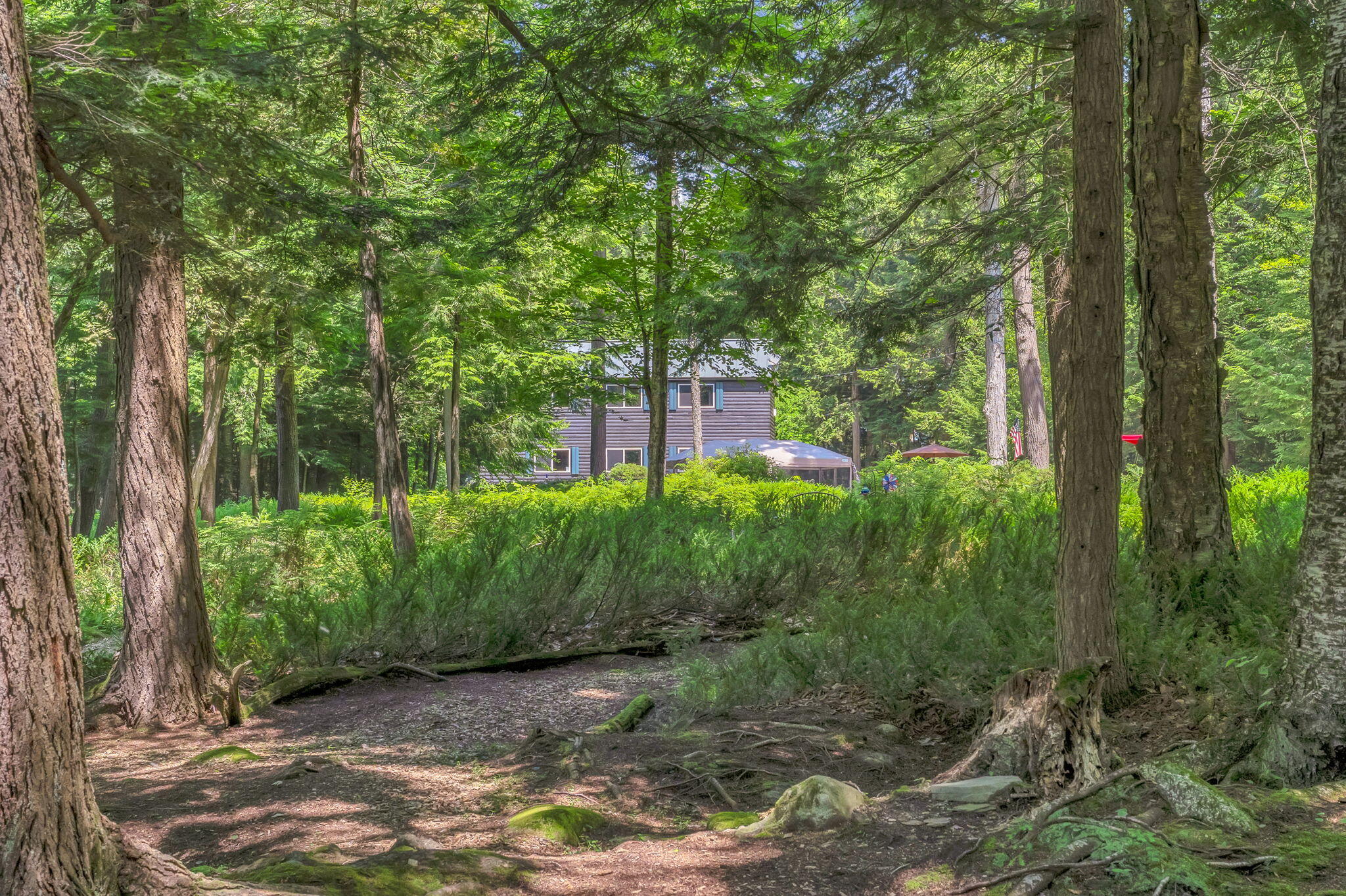 37 Loon Drive Property Photo 98