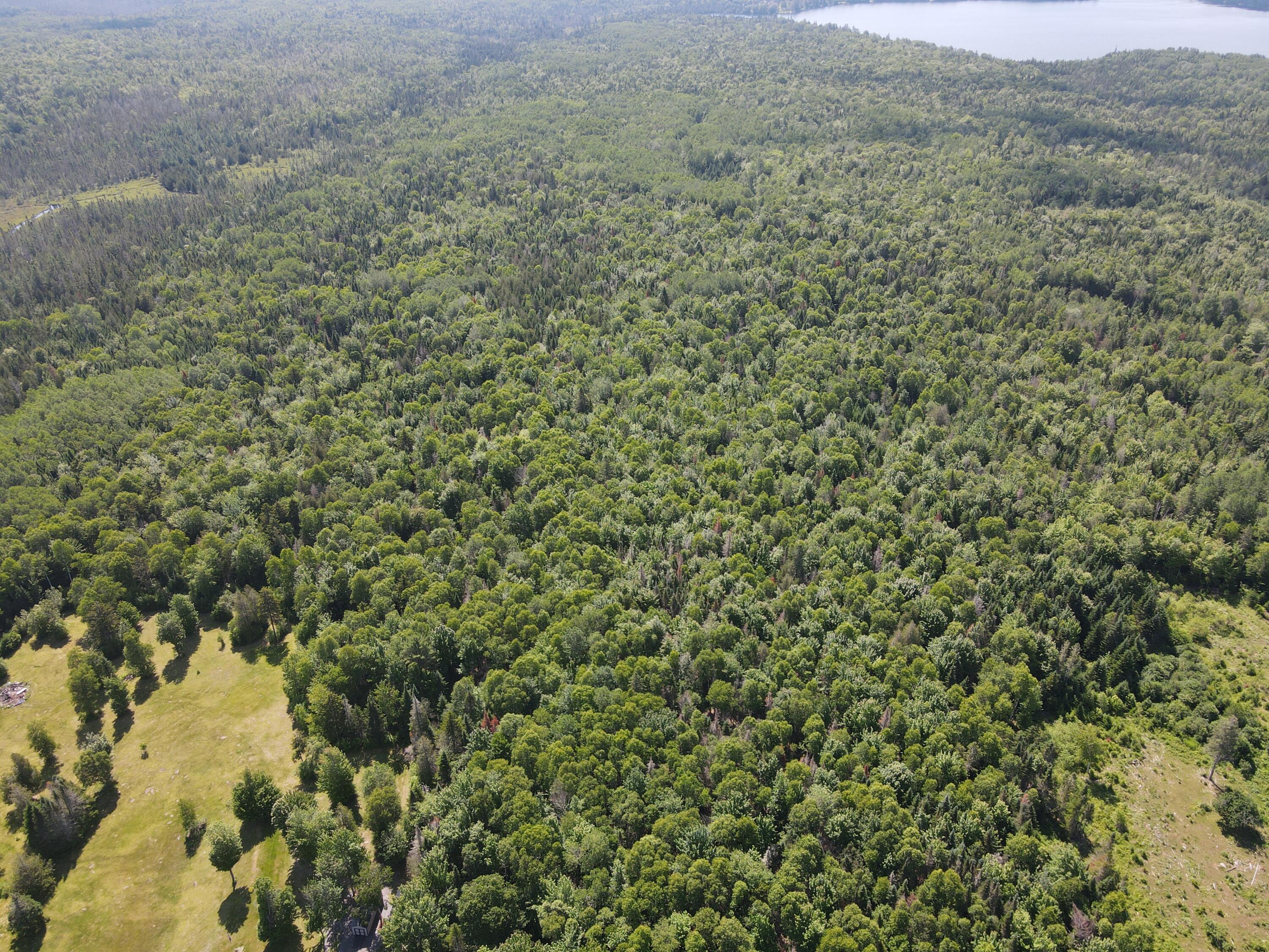 Lot 1-6b Skyland Drive Property Photo 6