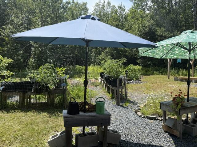 549 Four Mile Square Road Property Photo 3