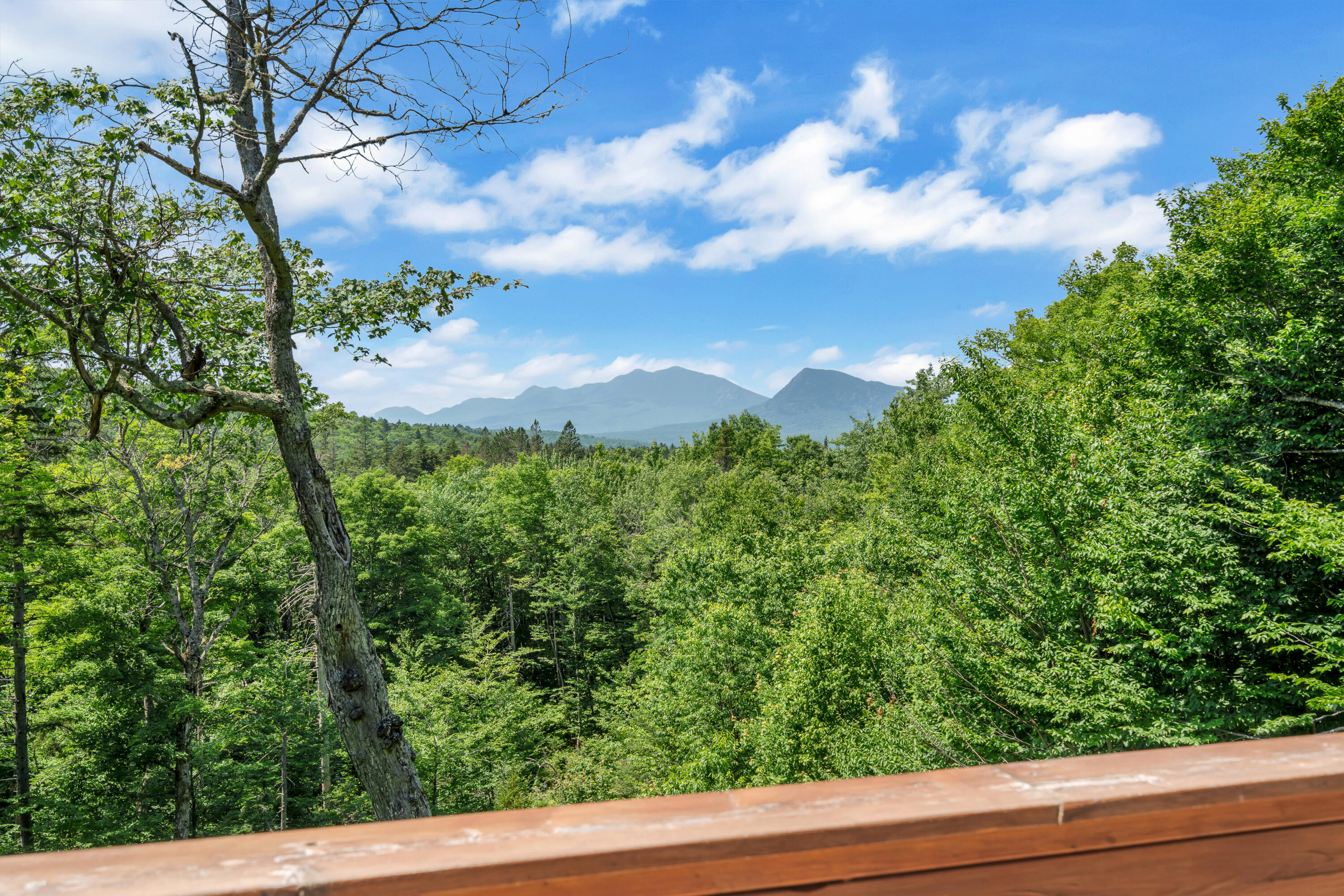 2901 Long Falls Dam Road Property Photo 10