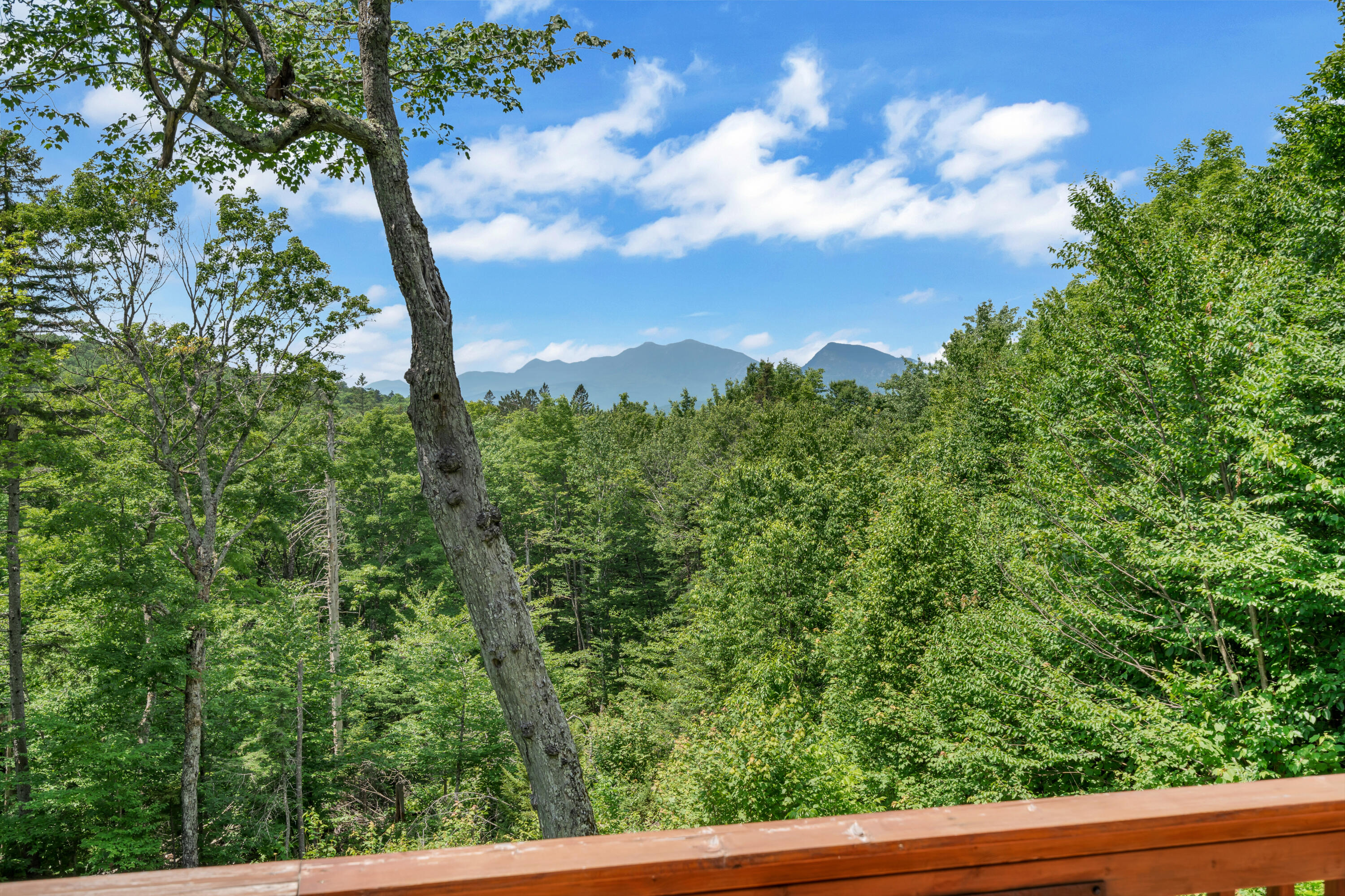 2901 Long Falls Dam Road Property Photo 34