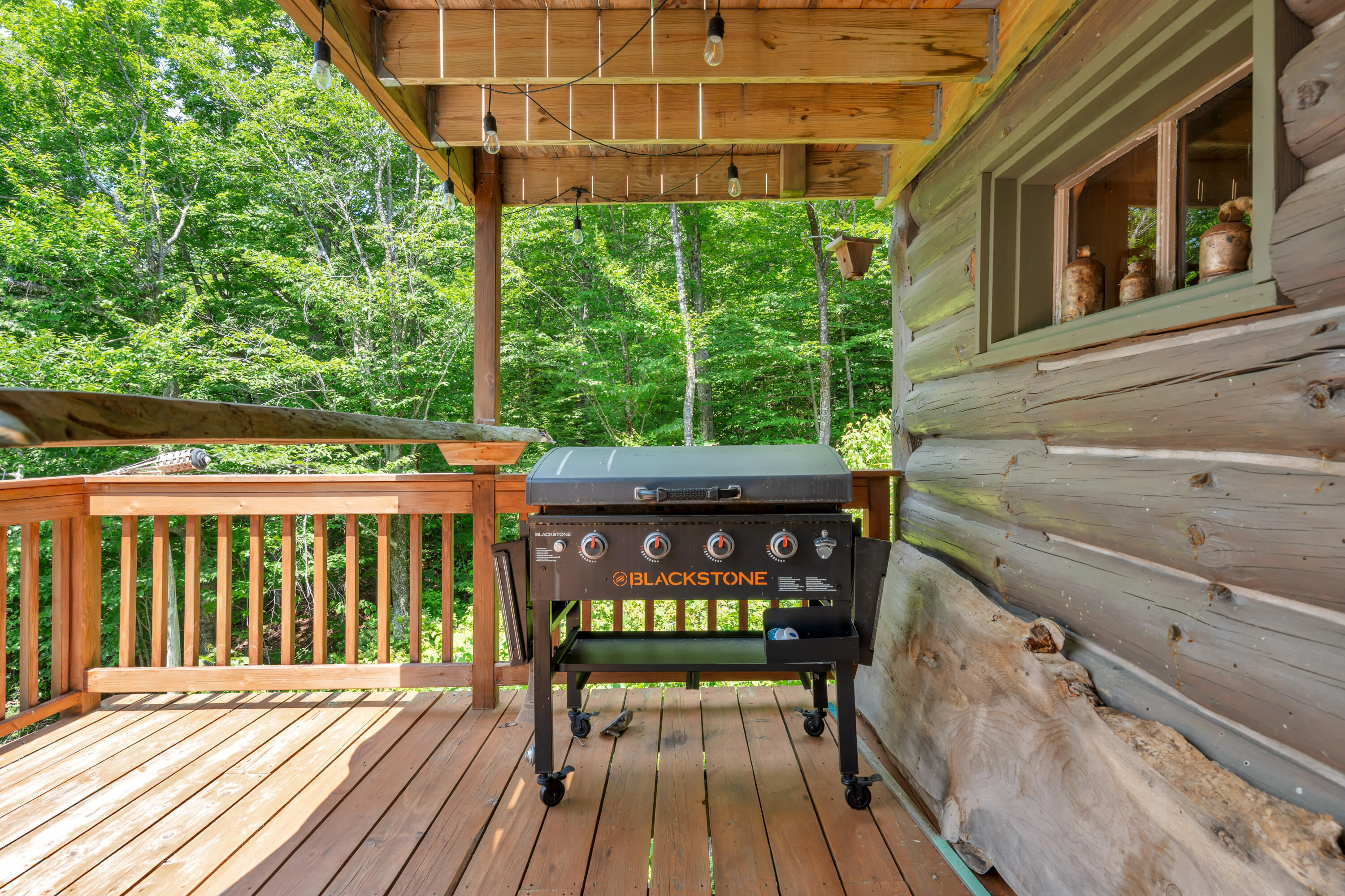 2901 Long Falls Dam Road Property Photo 36