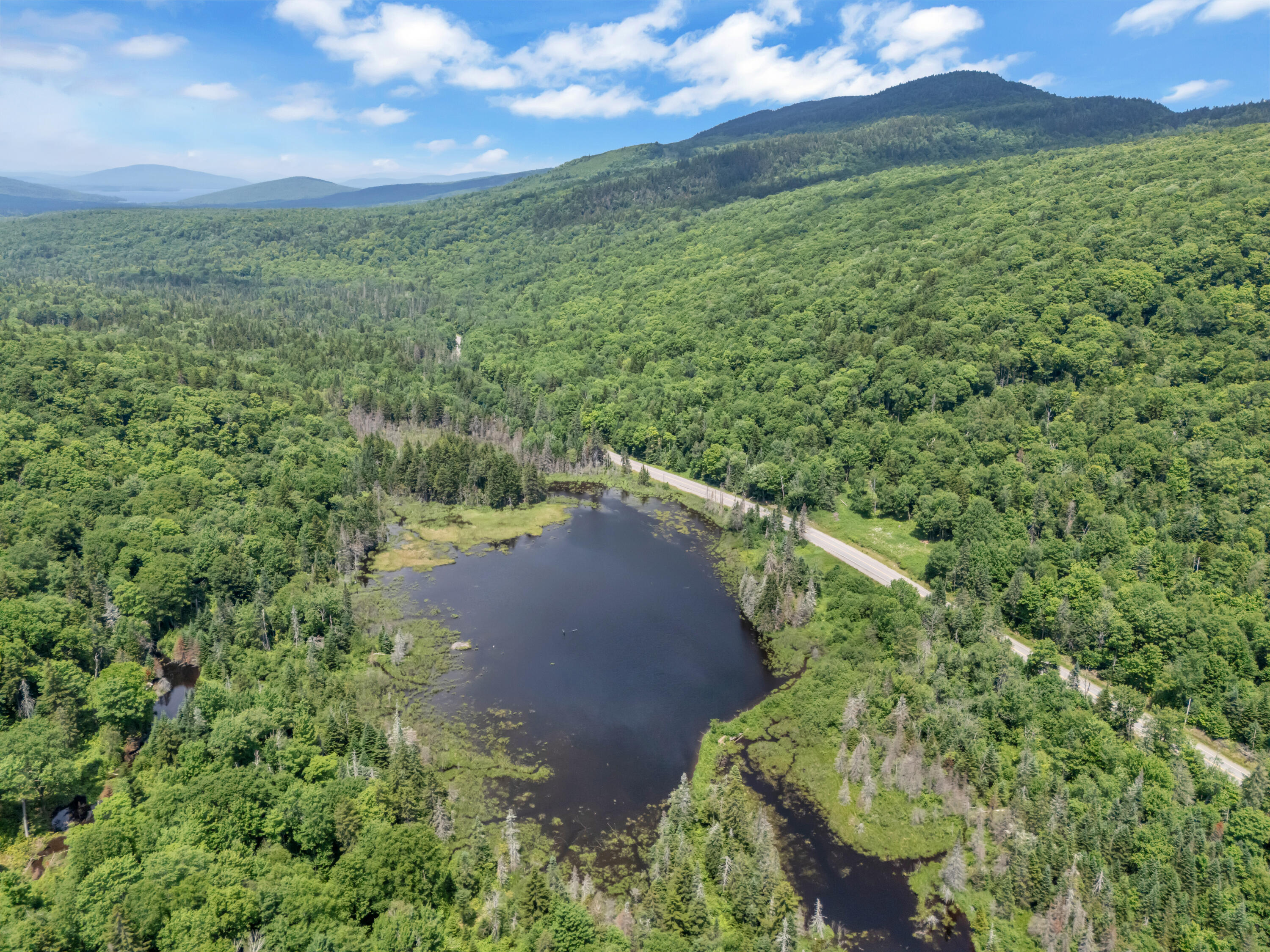 2901 Long Falls Dam Road Property Photo 40