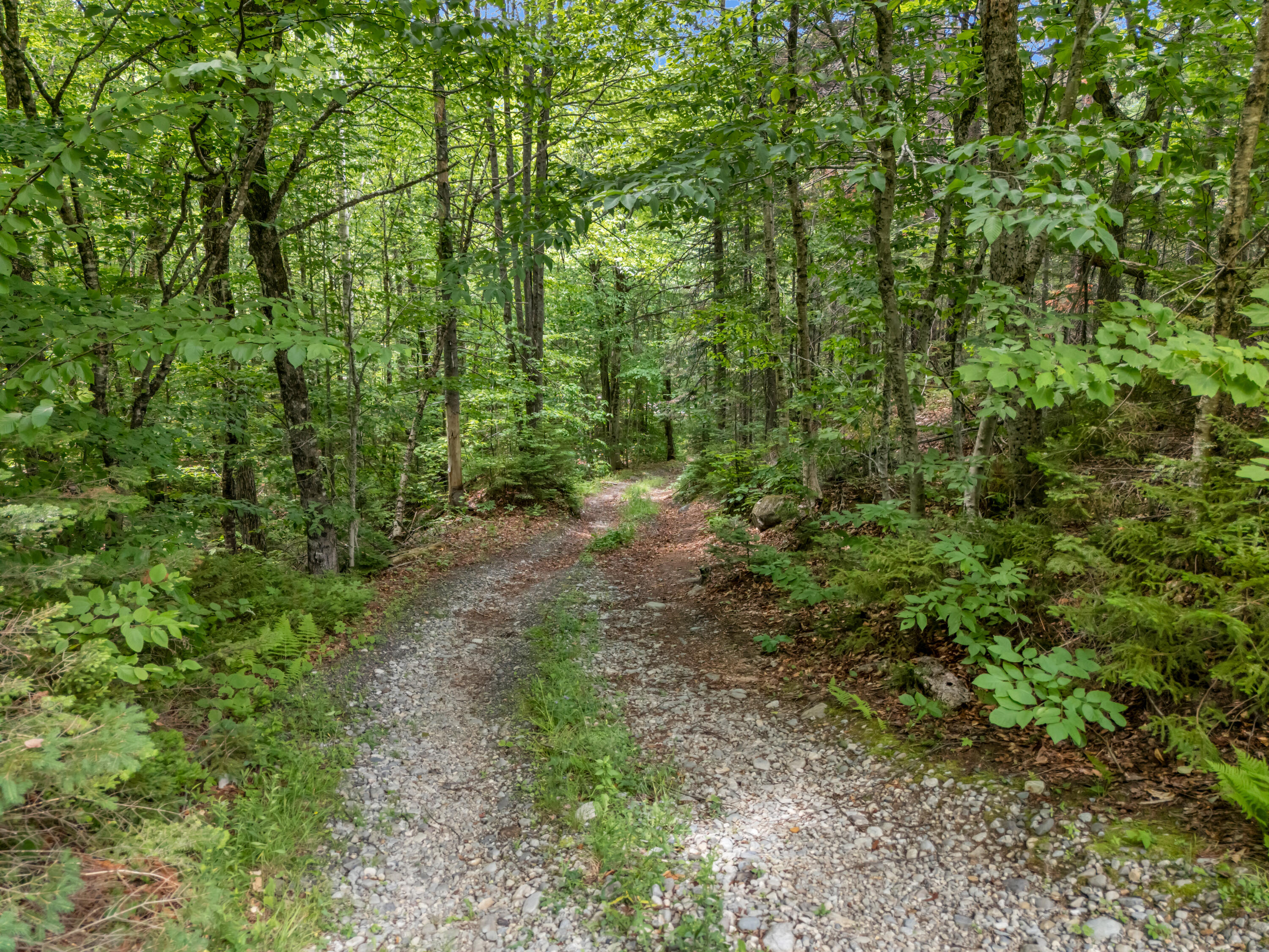 2901 Long Falls Dam Road Property Photo 55