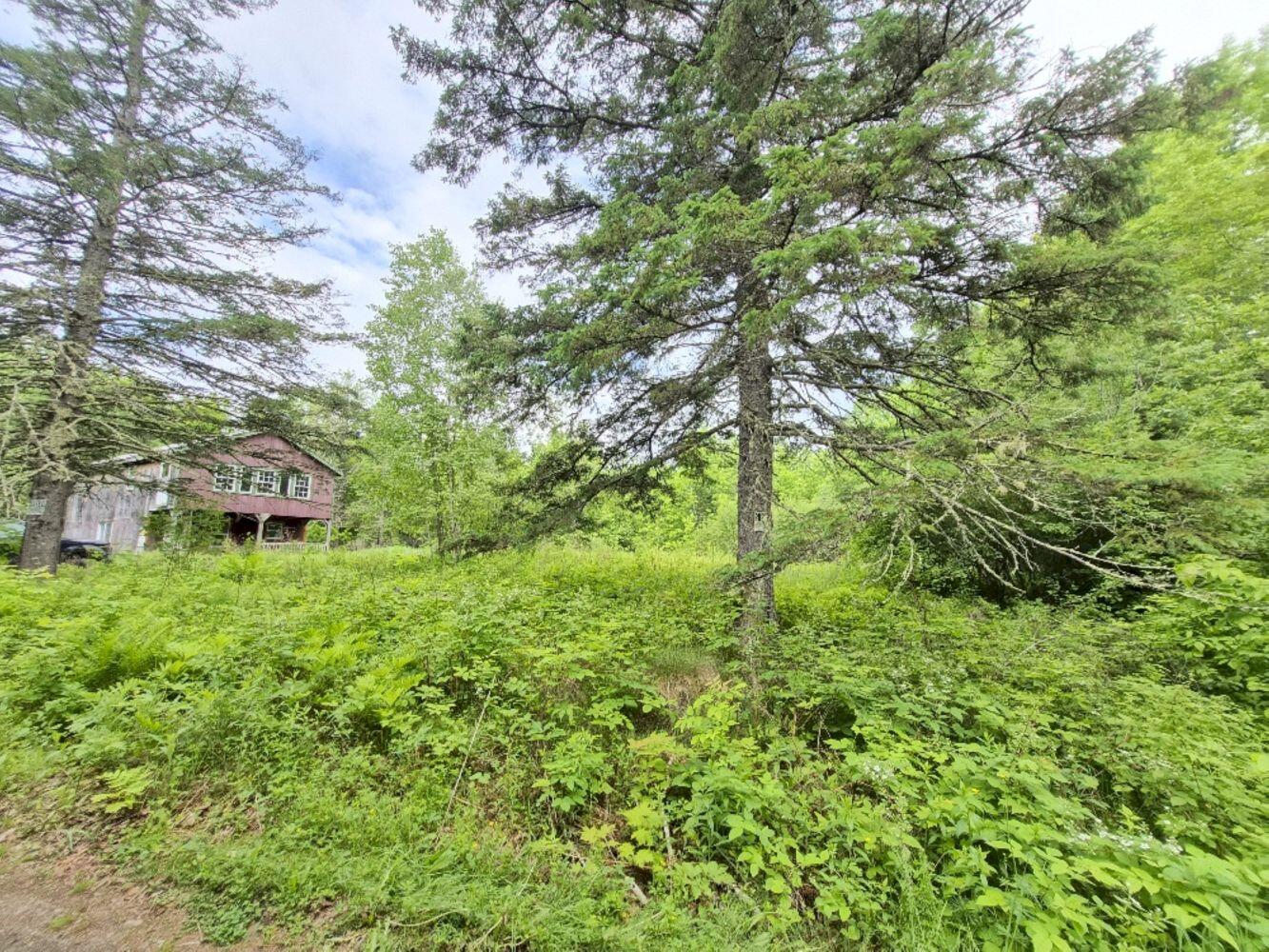 137 Butterfield Road Property Photo 5