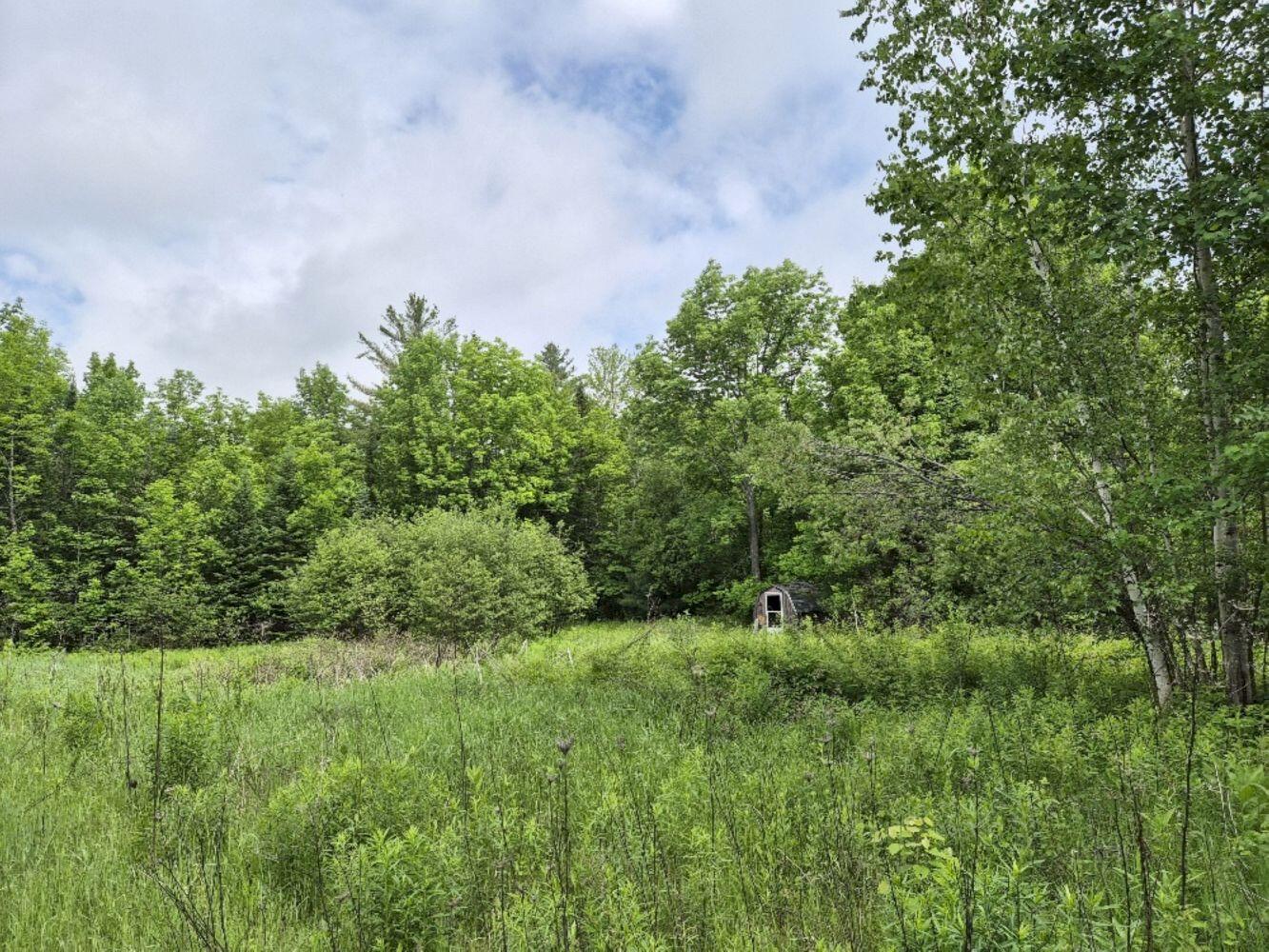 137 Butterfield Road Property Photo 14
