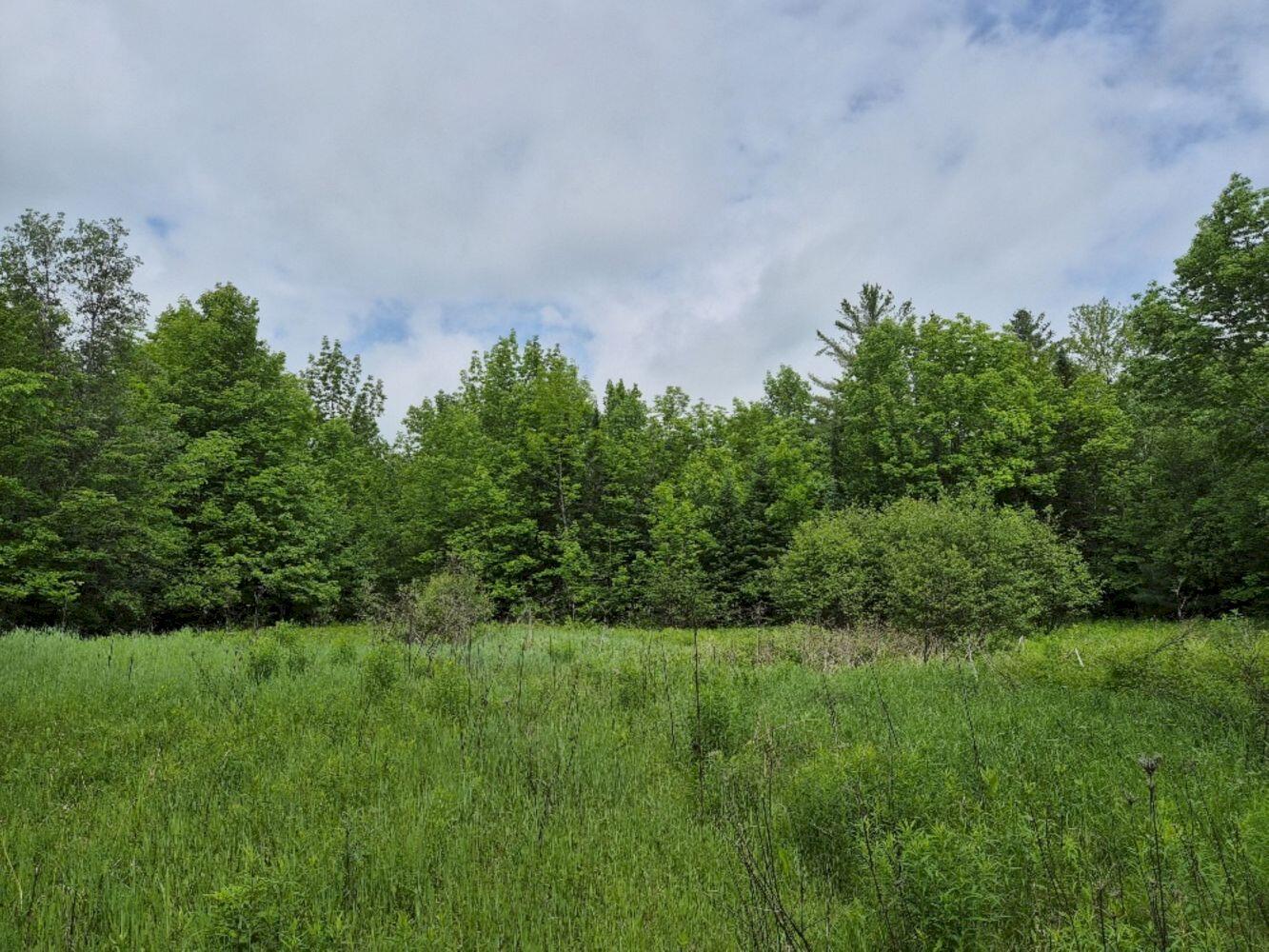 137 Butterfield Road Property Photo 15