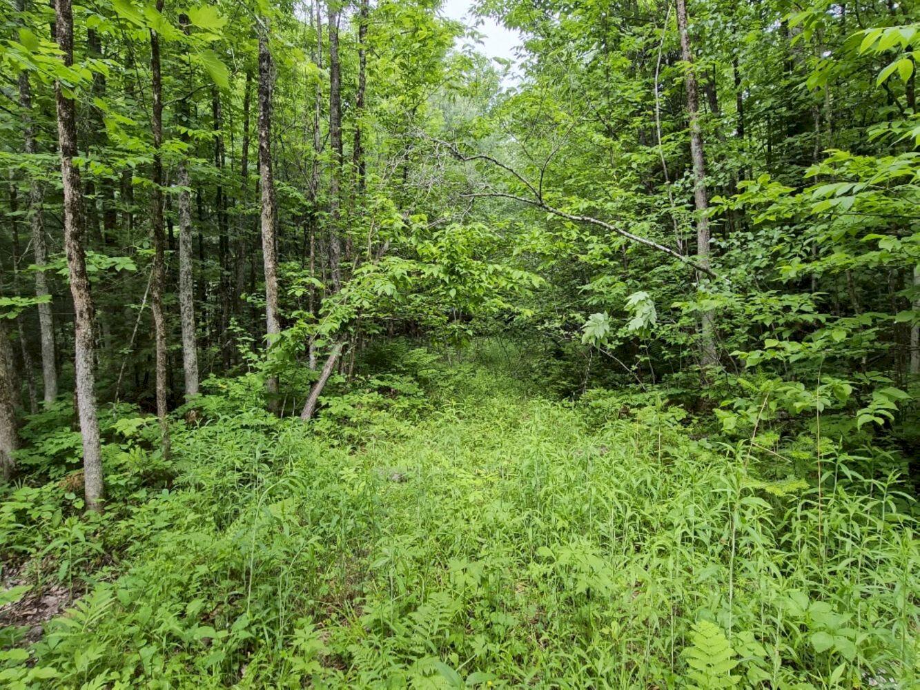 137 Butterfield Road Property Photo 19