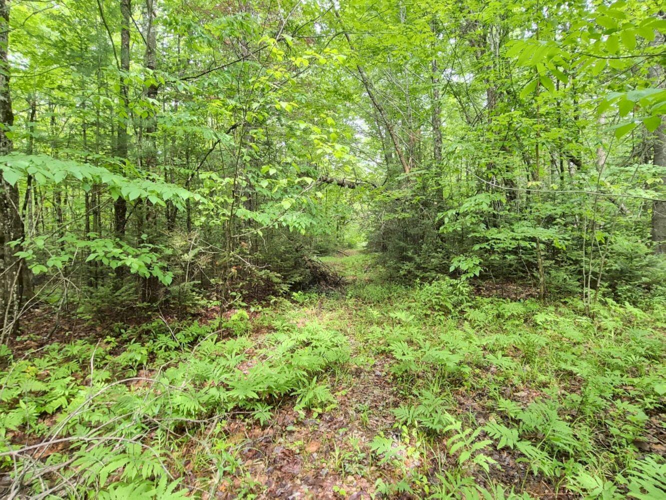 137 Butterfield Road Property Photo 22