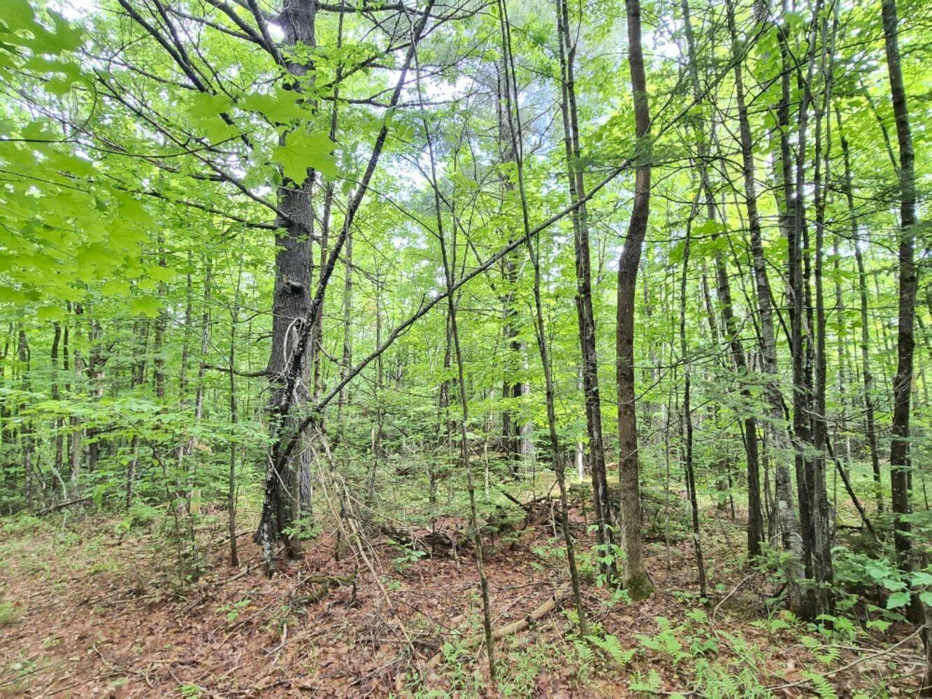 137 Butterfield Road Property Photo 24