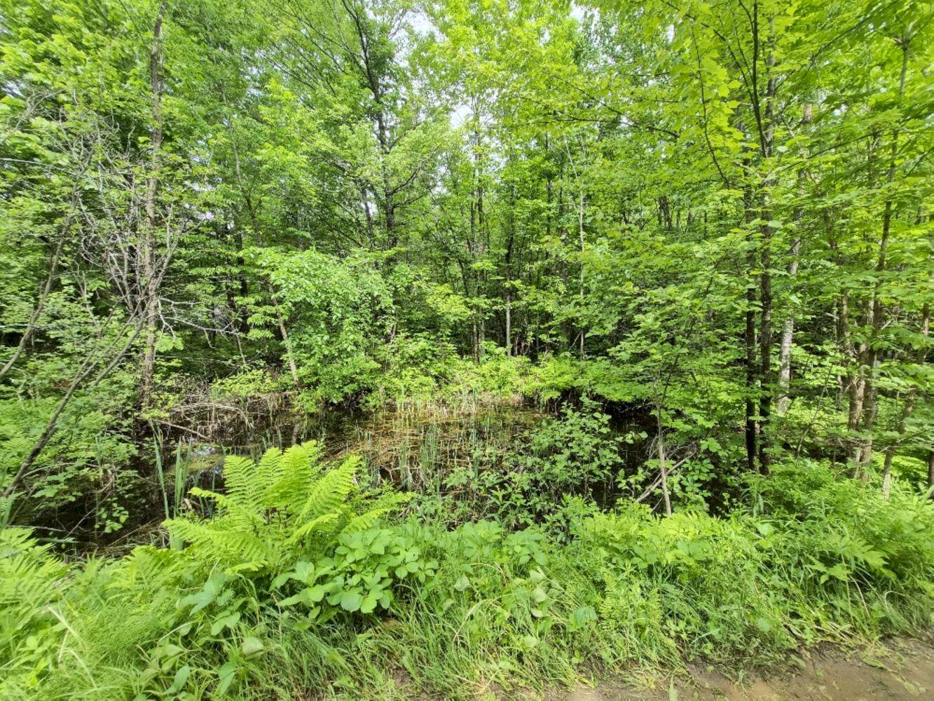 137 Butterfield Road Property Photo 28