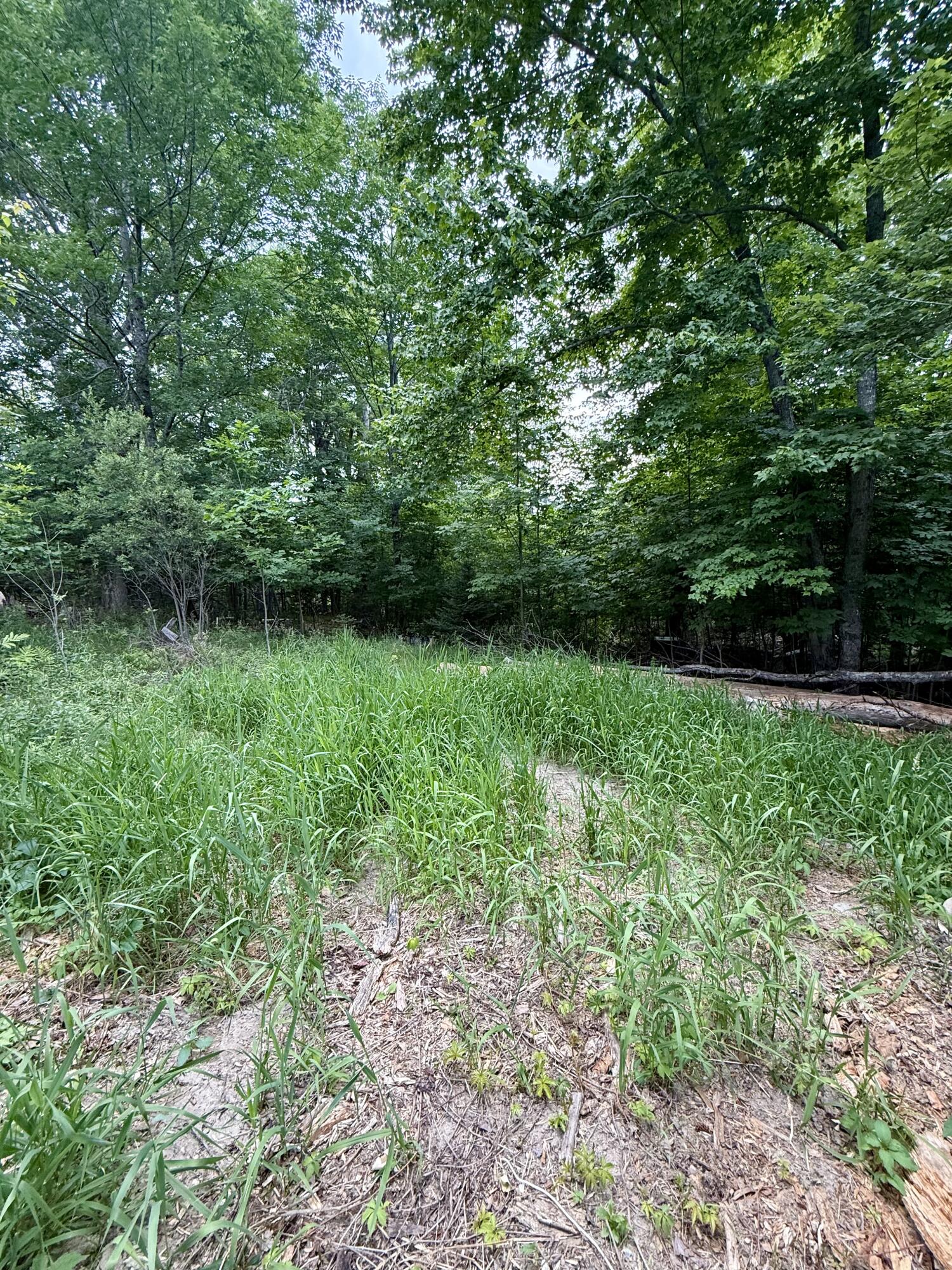266 Willey District Road Property Photo 8