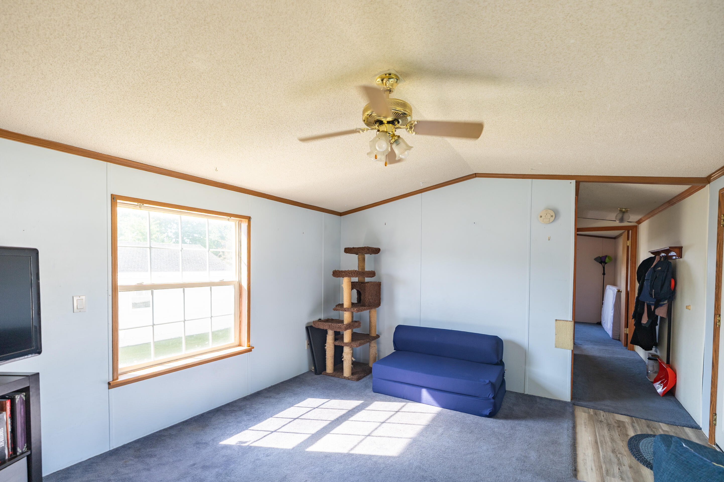 4 Mark Street Property Photo 4