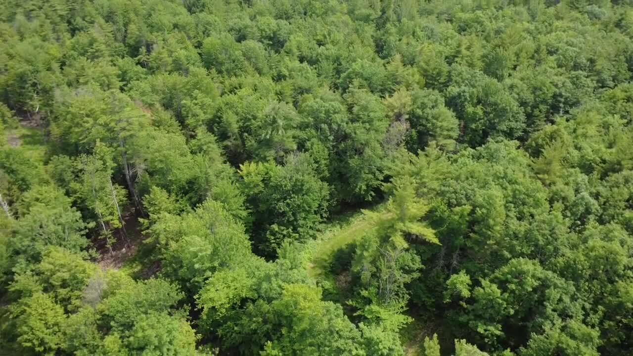R03-054m/k Off Bean Road Property Photo 10