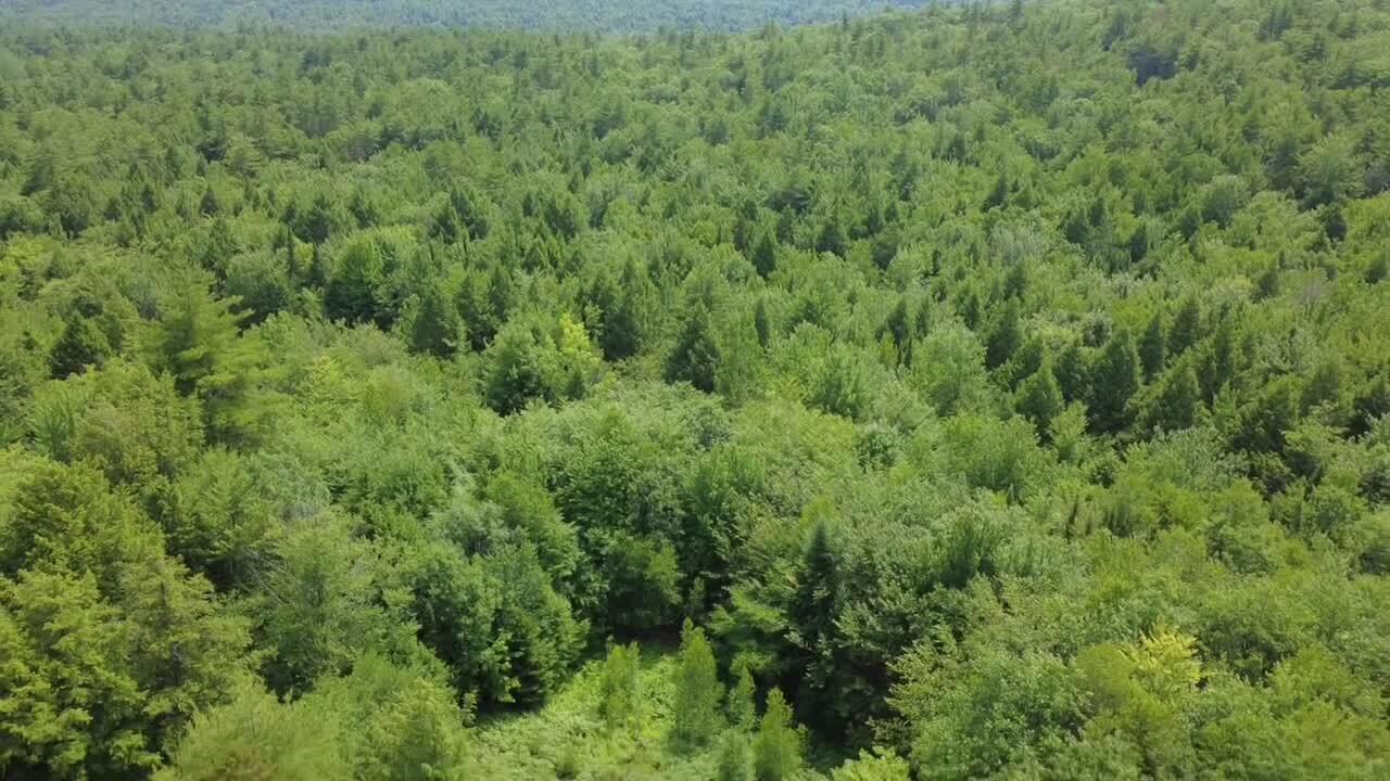 R03-054m/k Off Bean Road Property Photo 12