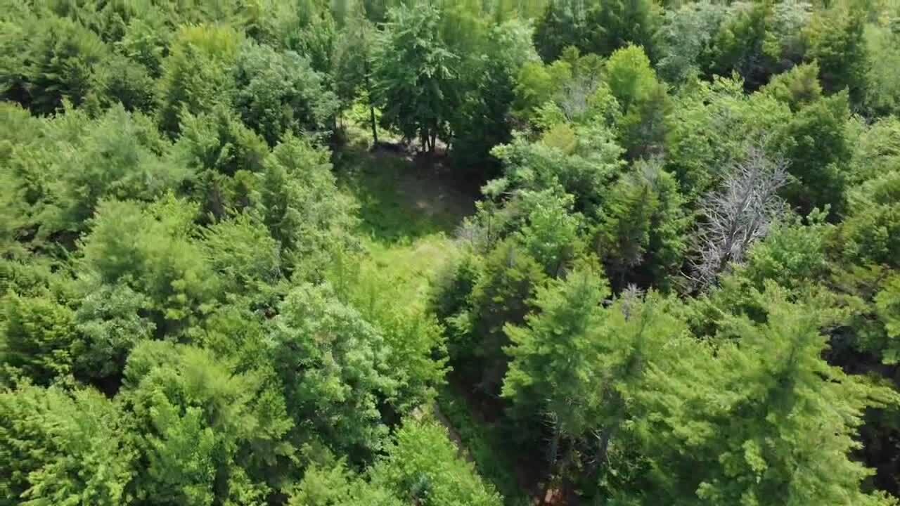 R03-054m/k Off Bean Road Property Photo 20