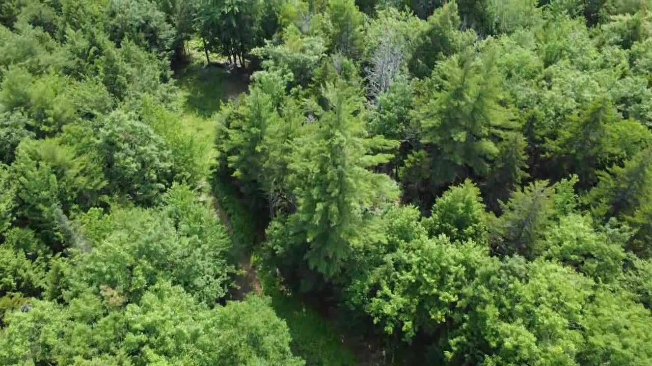 R03-054m/k Off Bean Road Property Photo 21
