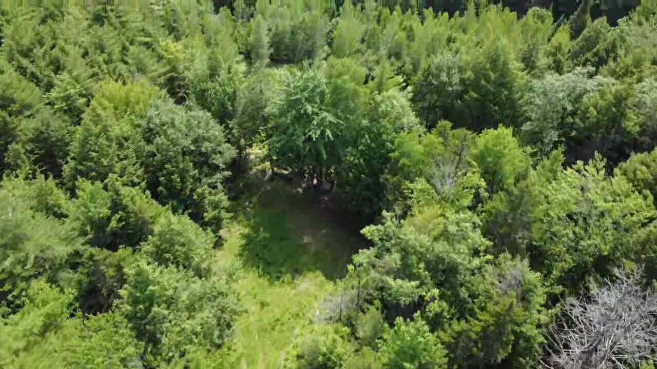 R03-054m/k Off Bean Road Property Photo 22
