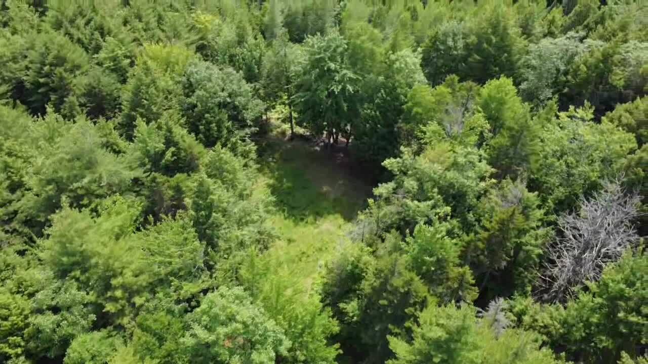 R03-054m/k Off Bean Road Property Photo 23