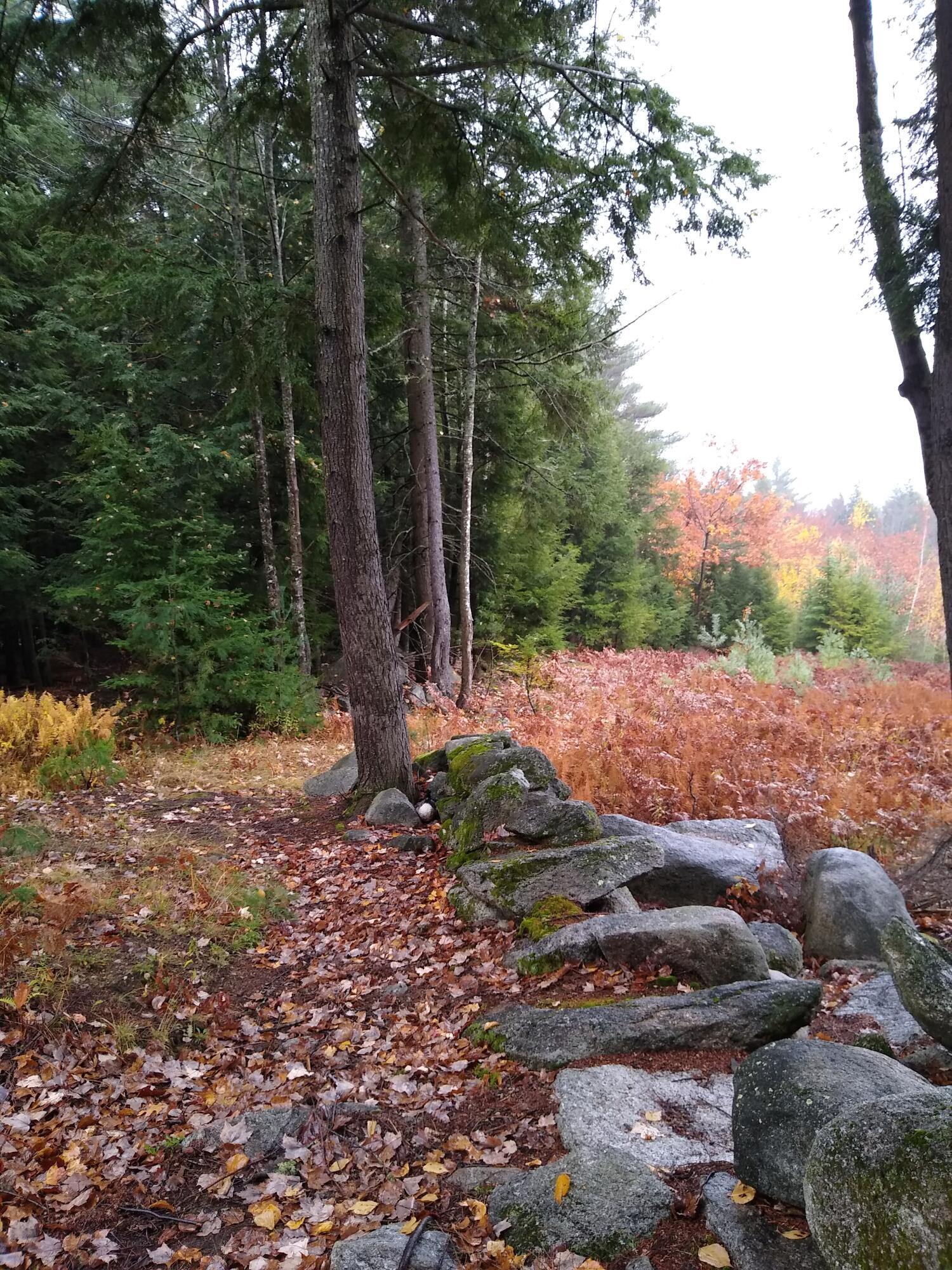 R03-054m/k Off Bean Road Property Photo 29