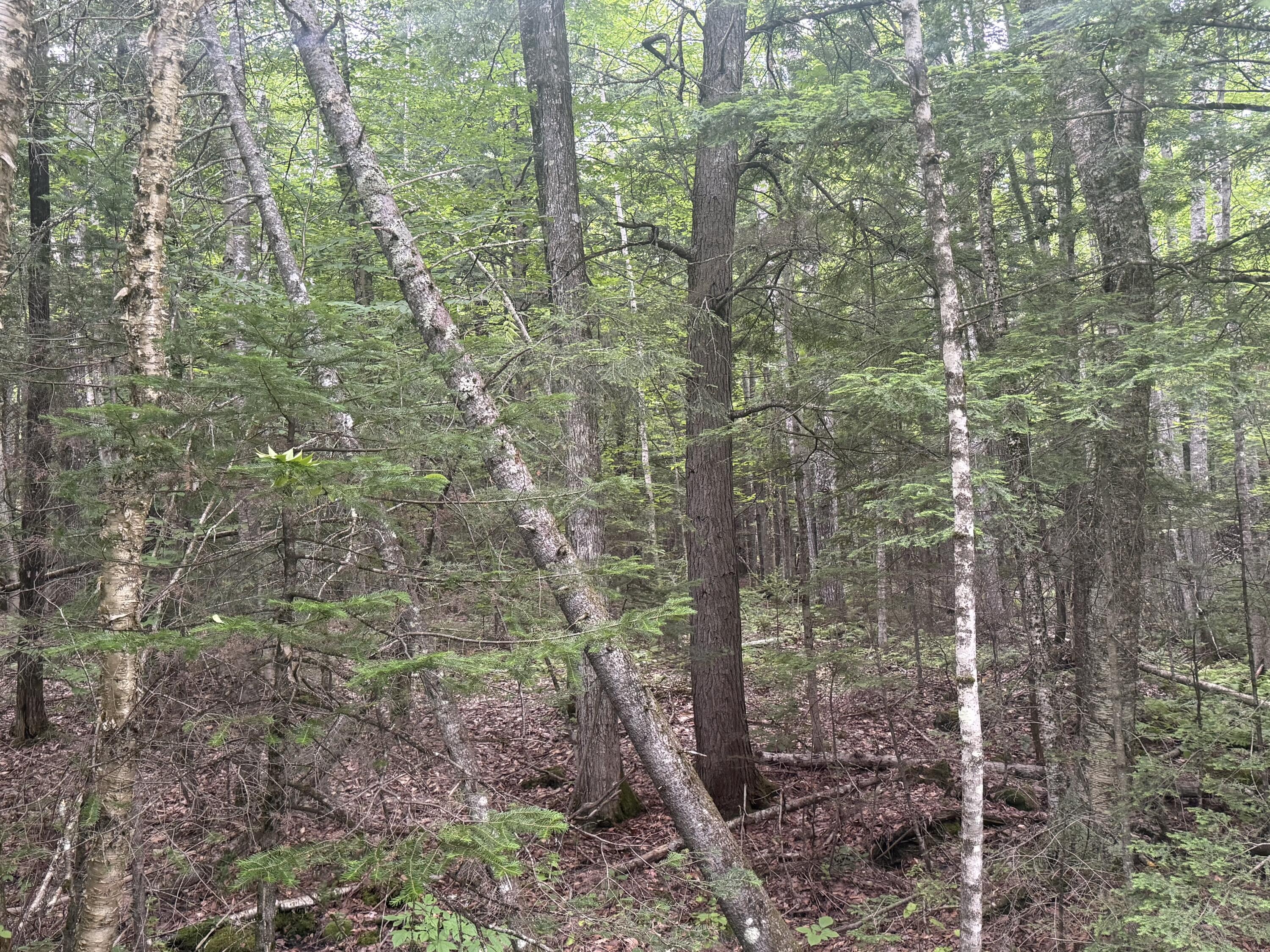 R1 L10a Hovey Road Property Photo 2